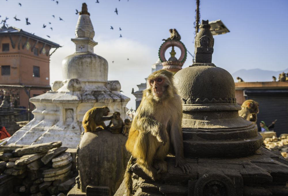 Stadstour Kathmandu.