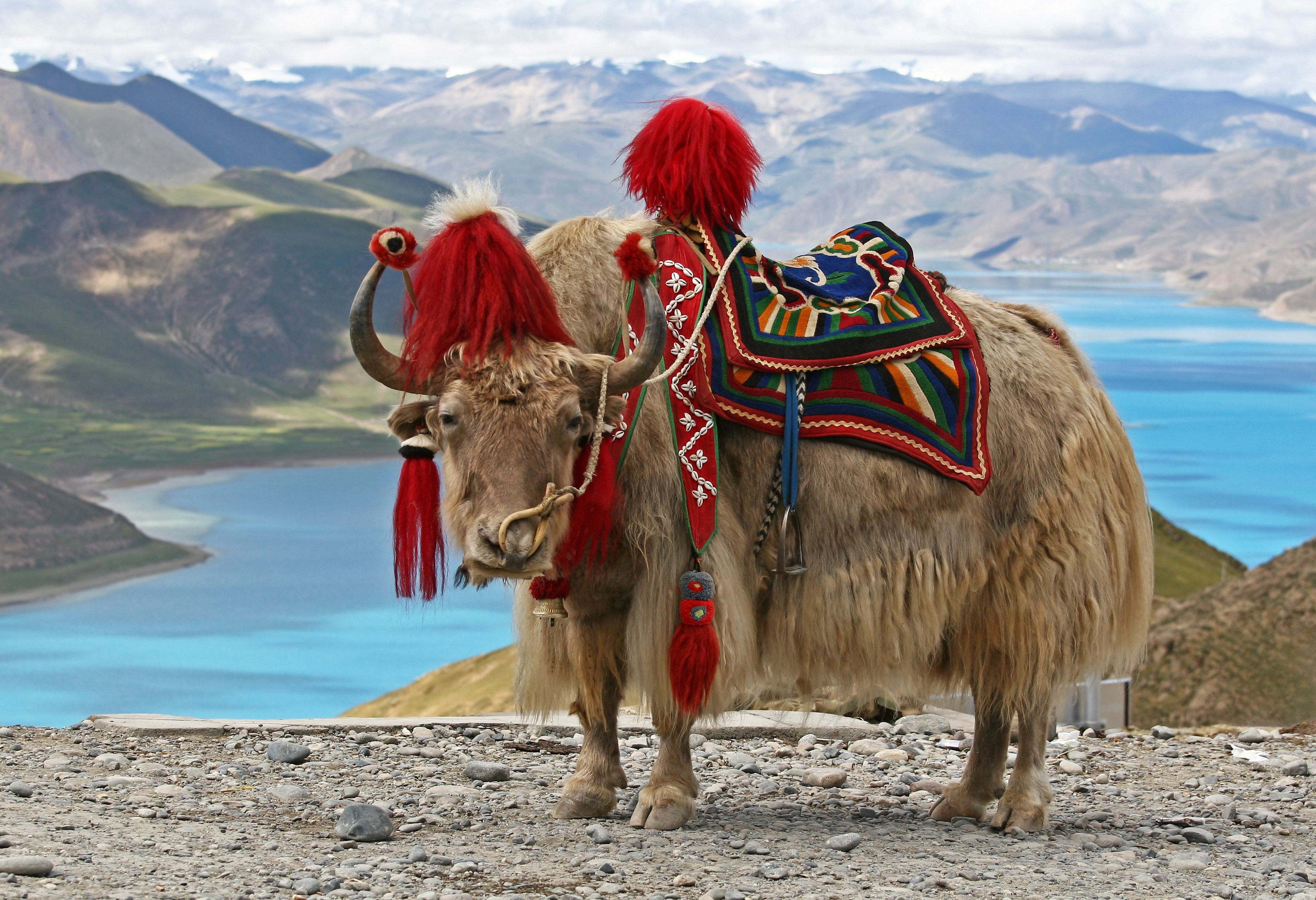 Yamdrok meer in Tibet