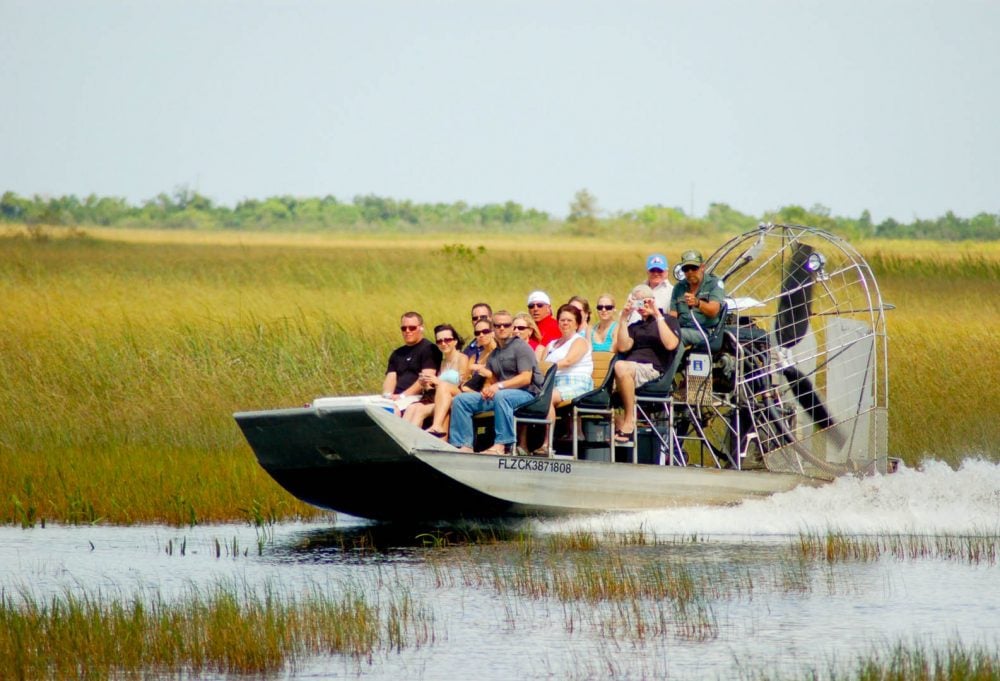Natuurschoon &amp; wildlife van Florida