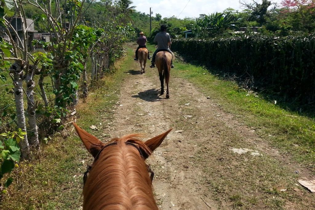 Paardrijden in de Vinales Vallei in Cuba