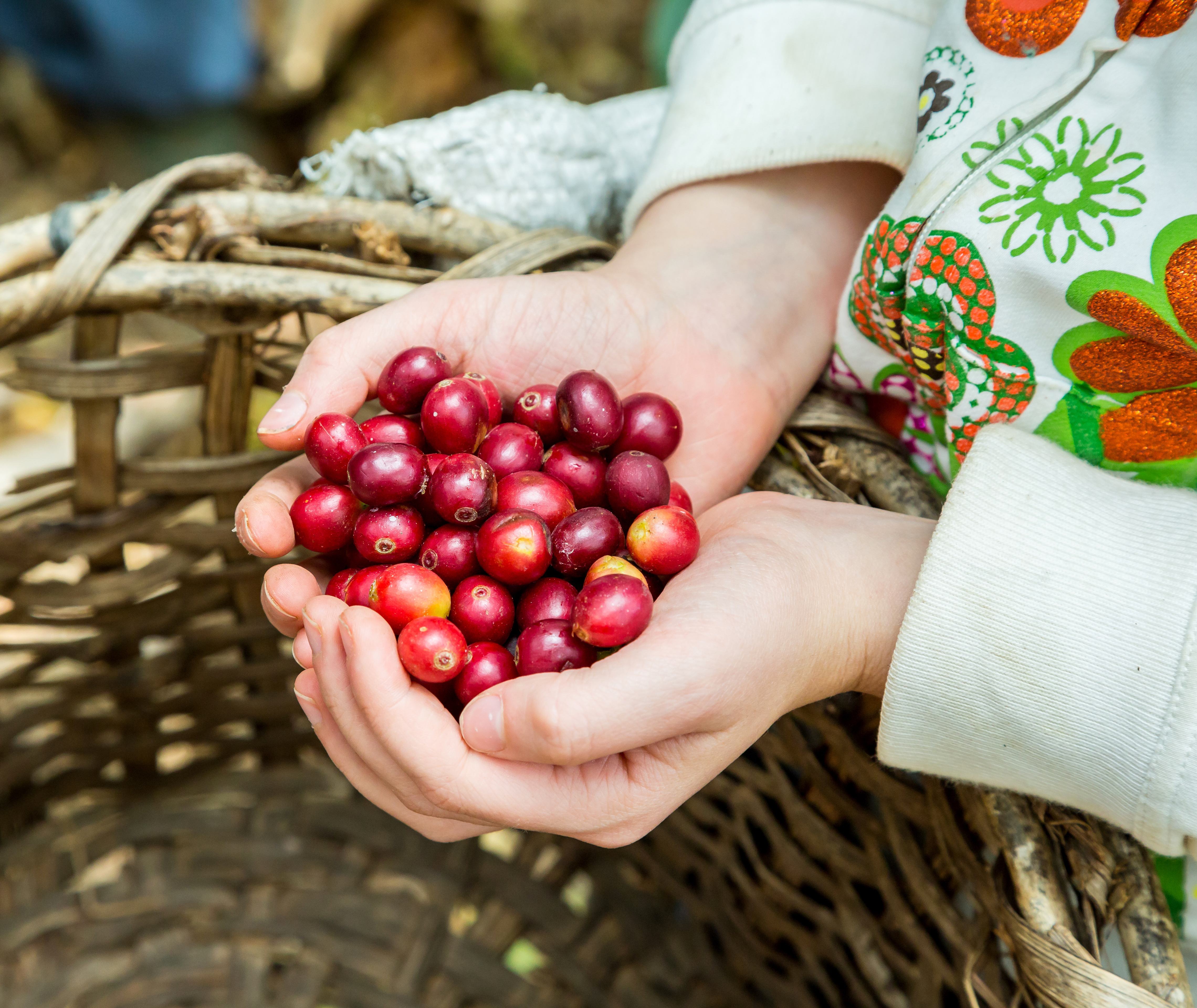 Costa Rica Duurzaam toerisme