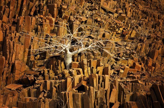 Organ Pipes Twyfelfontein