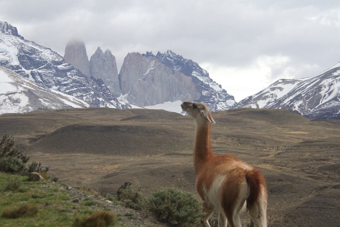 chile-torres-del-paine-national-park-4