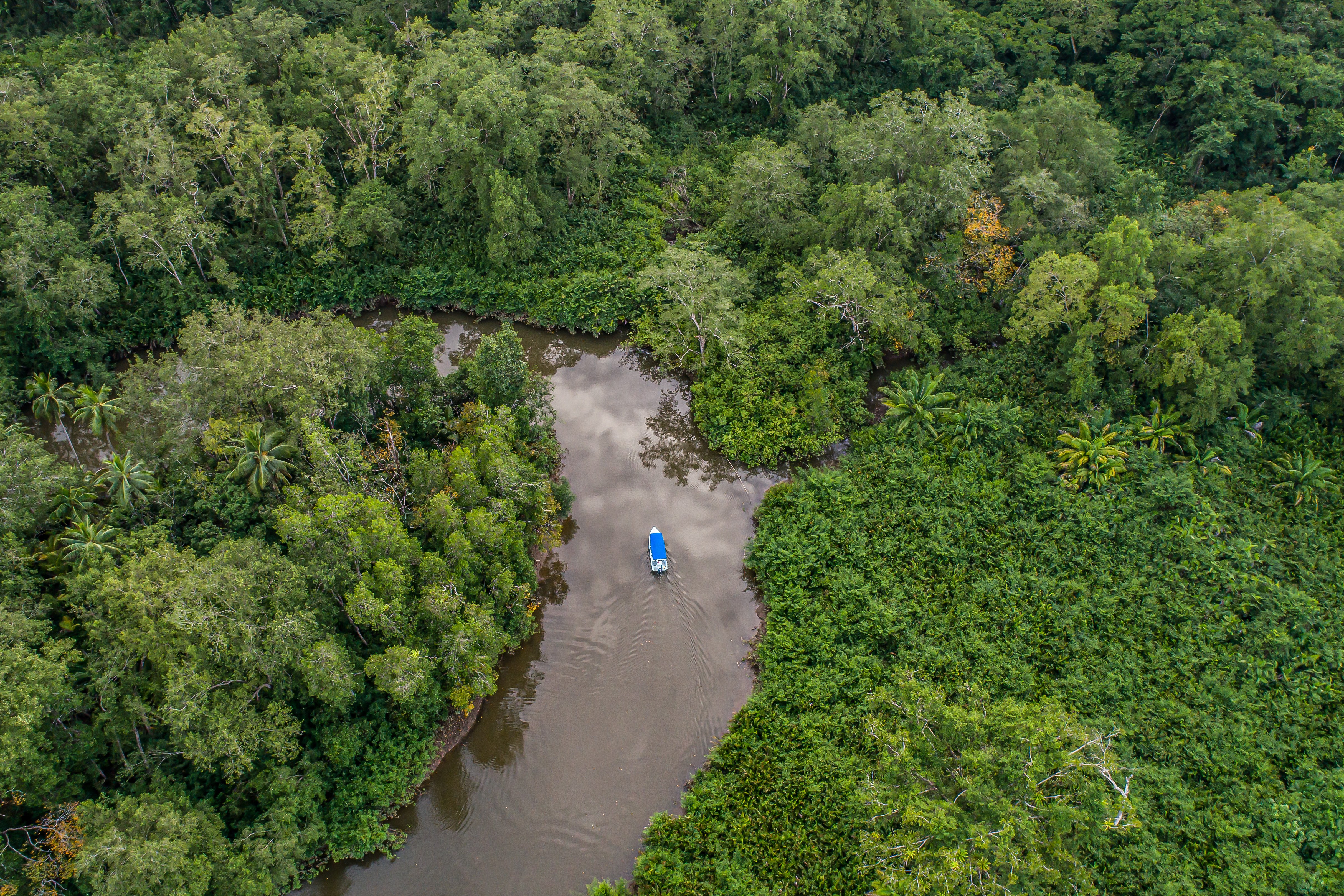 Corcovado National Park Costa Rica