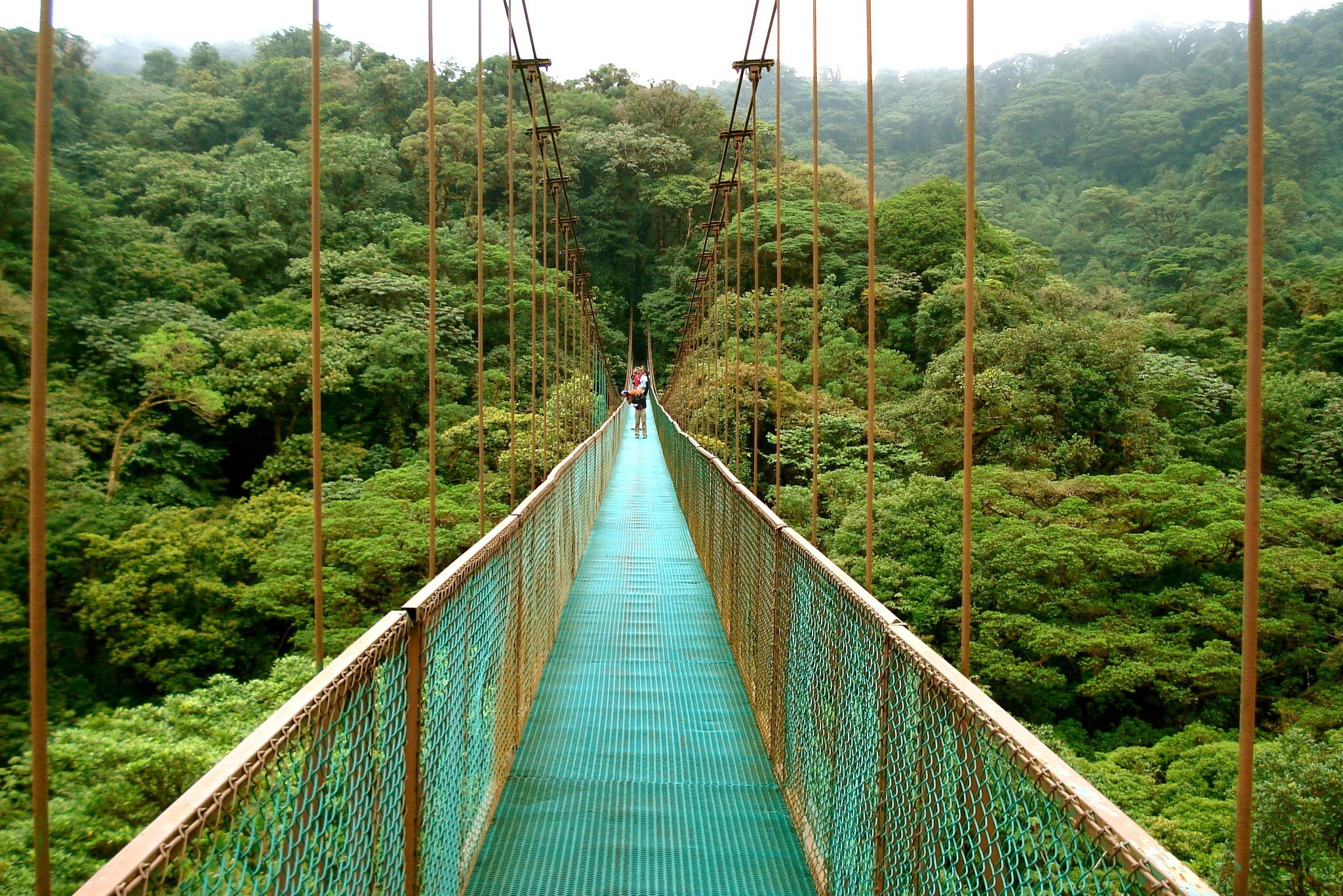 Canopy tour selvature Adventure park Monteverde Costa Rica