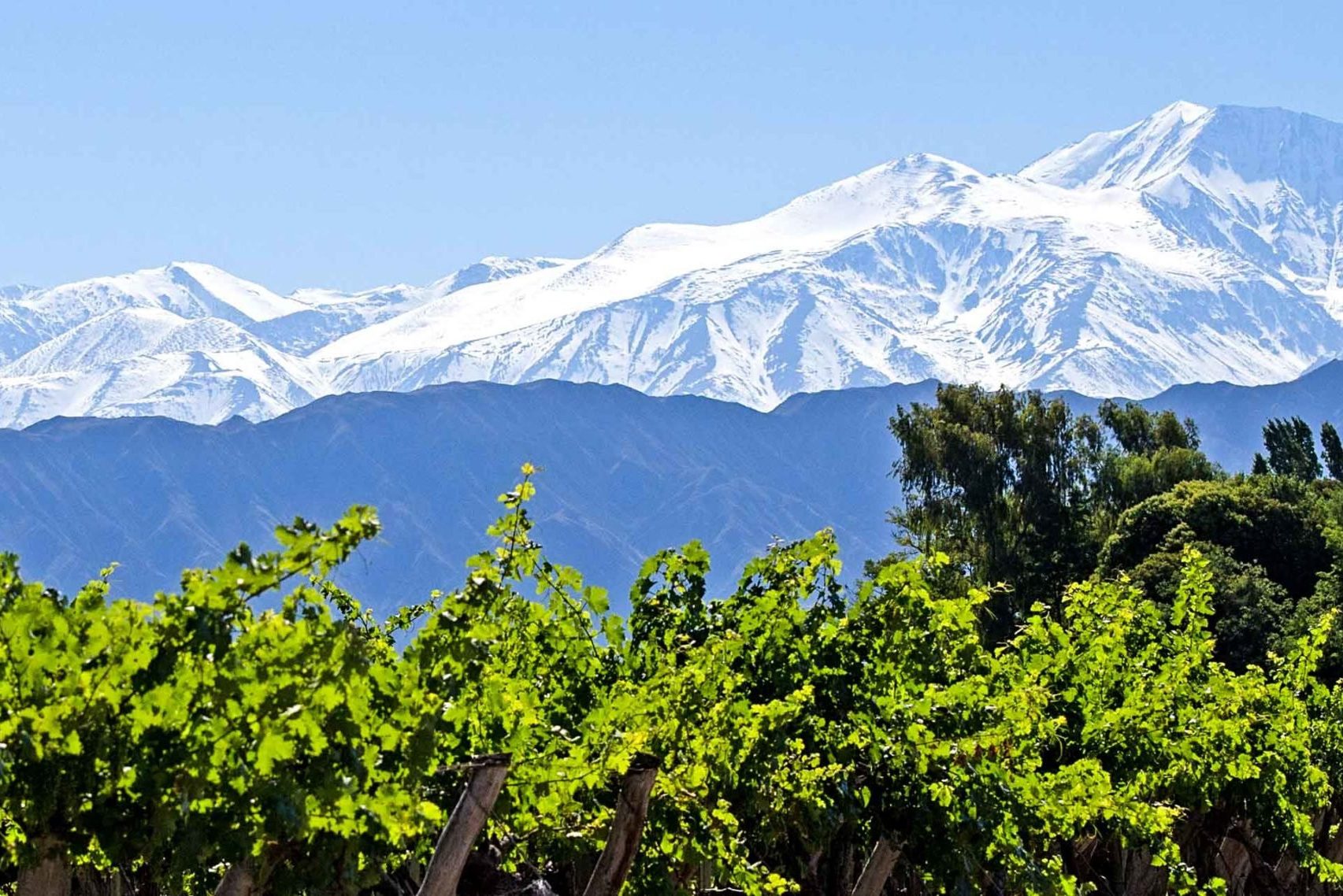 Mendoza in Argentinië