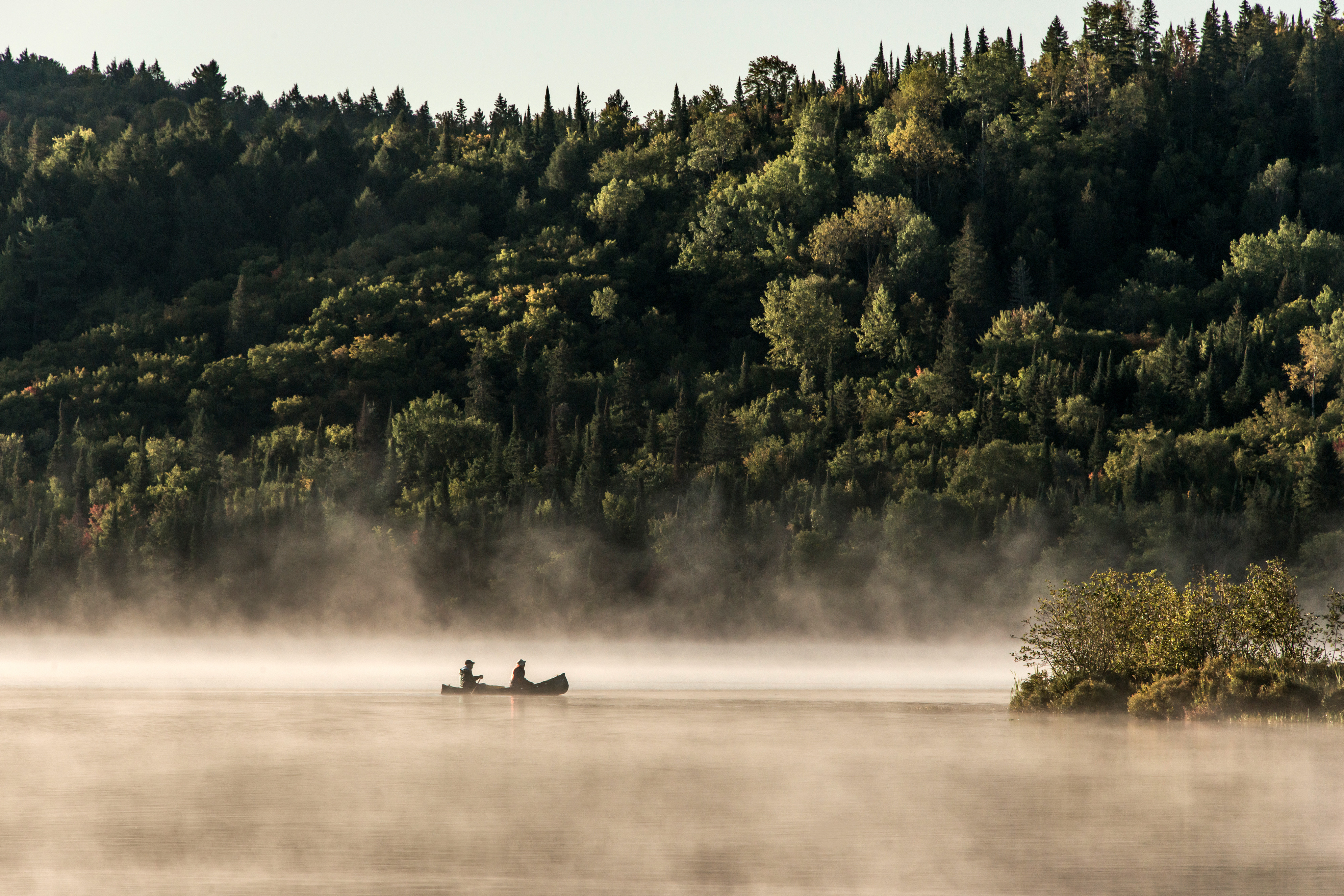 Kanoëen en kamperen in Algonquin