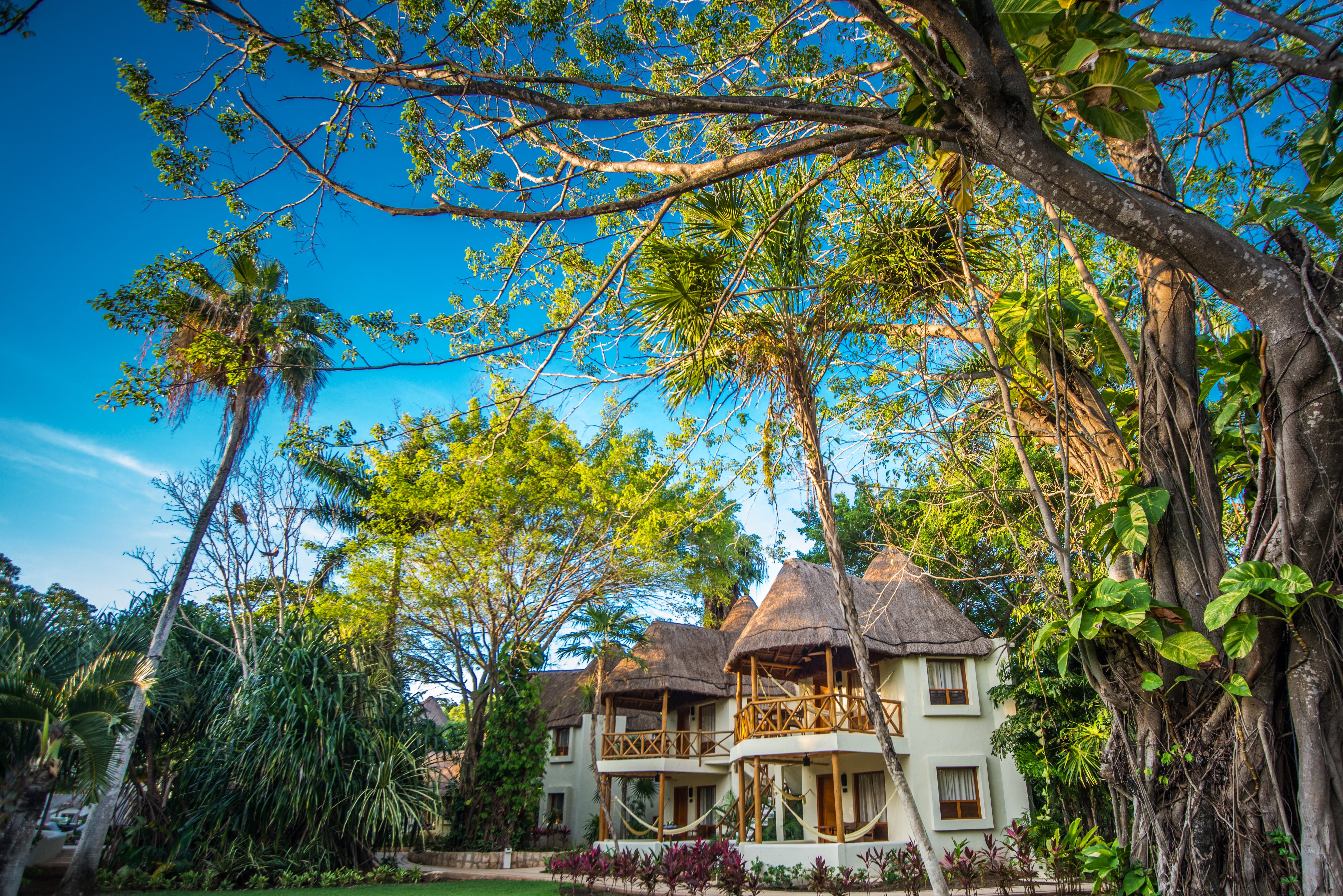 Tropische tuin van het Mahekal Beach Resort in Playa del Carmen in Mexico