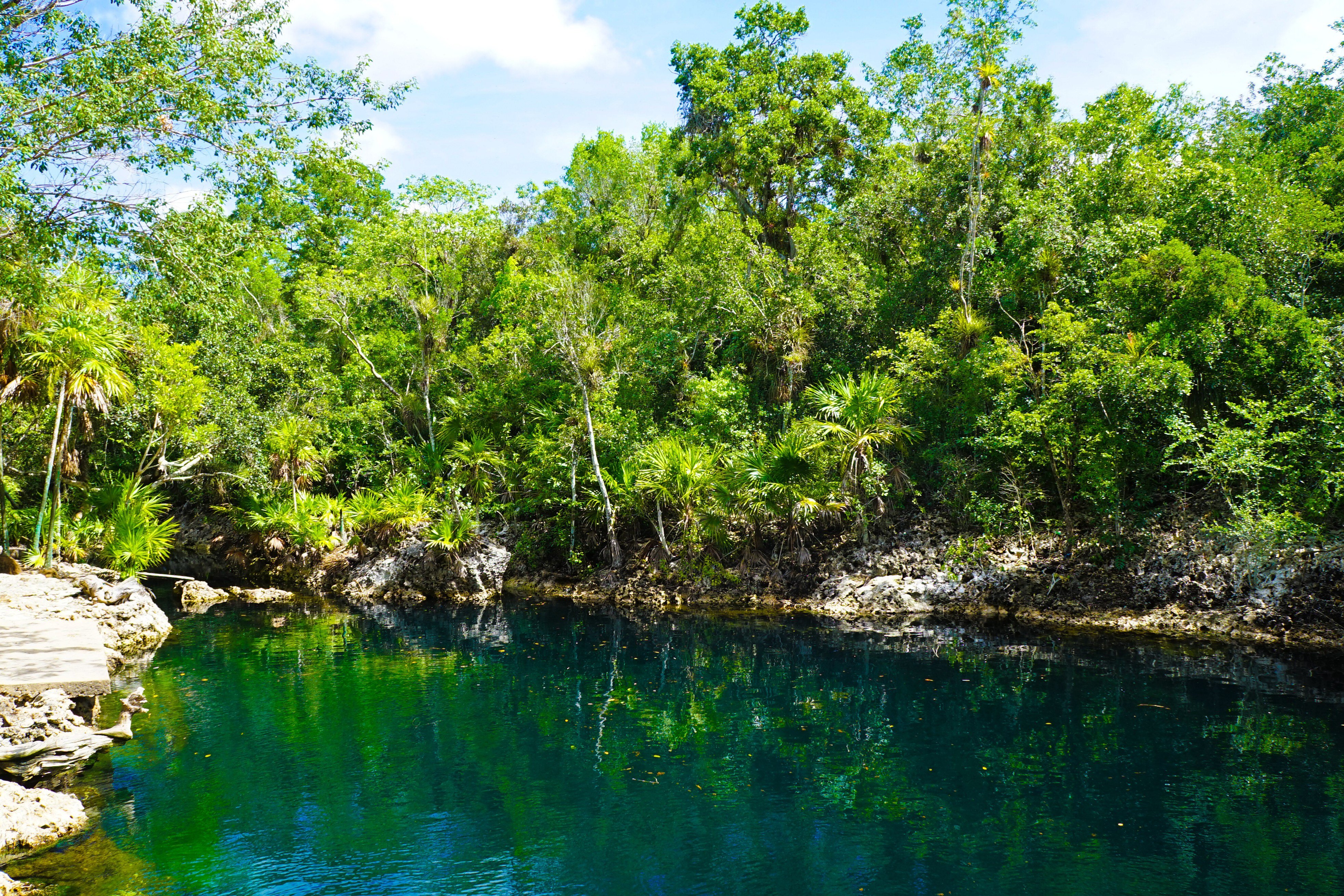 Cueva de los Peces in de Varkensbaai in Cuba