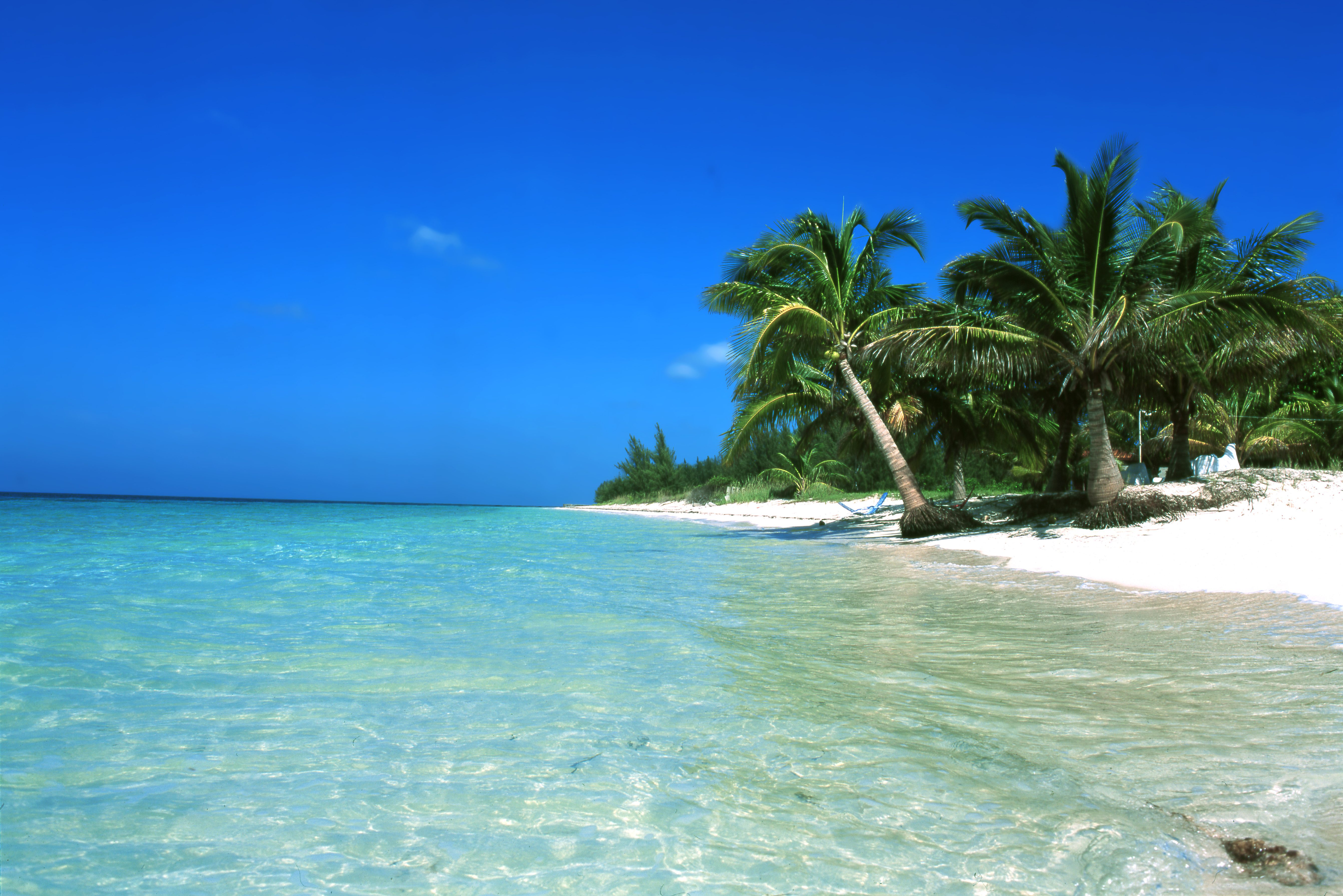 Paradijselijk strand van Cayo Levisa in Cuba