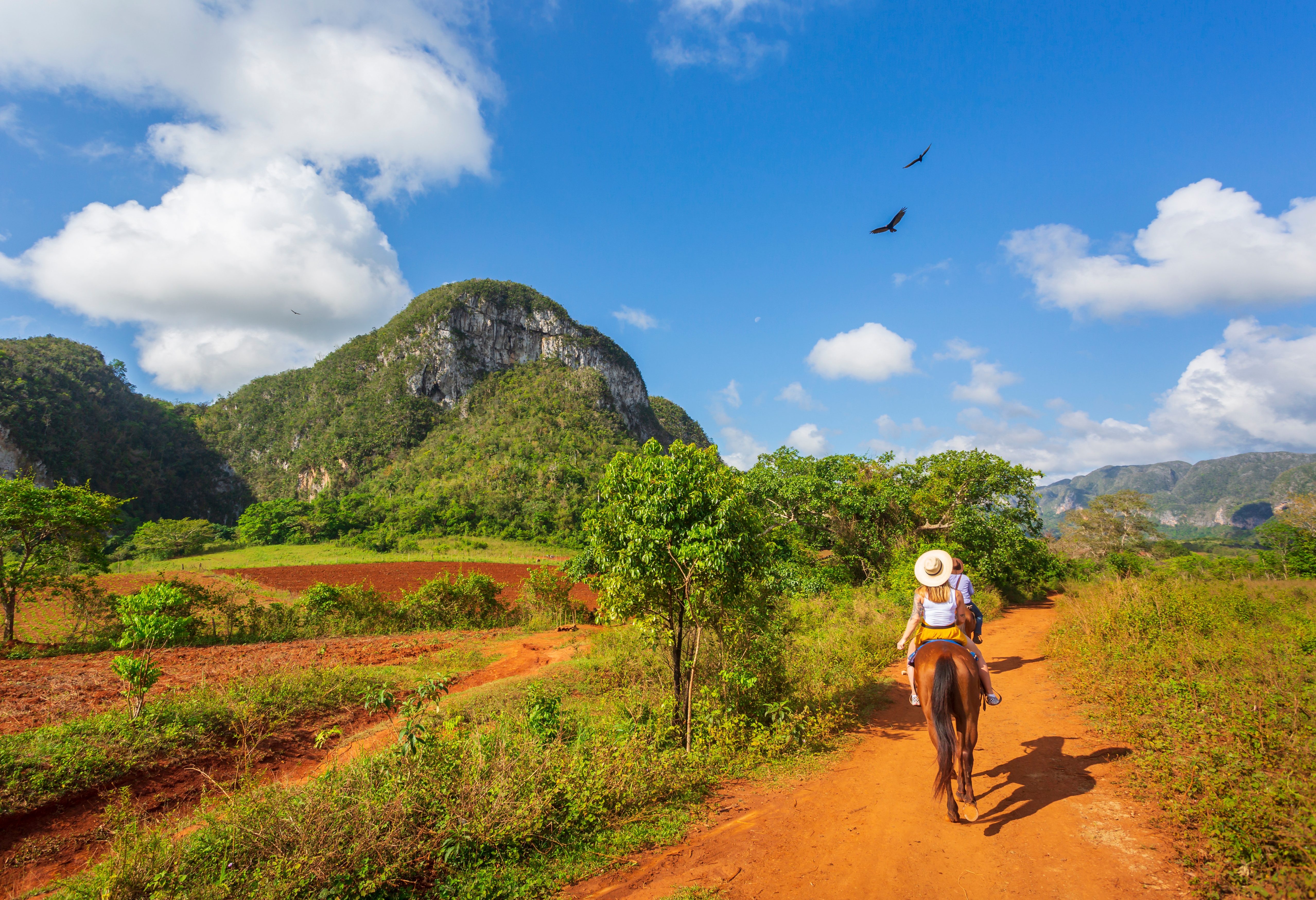 Paardrijden in de Vinales Vallei in Cuba