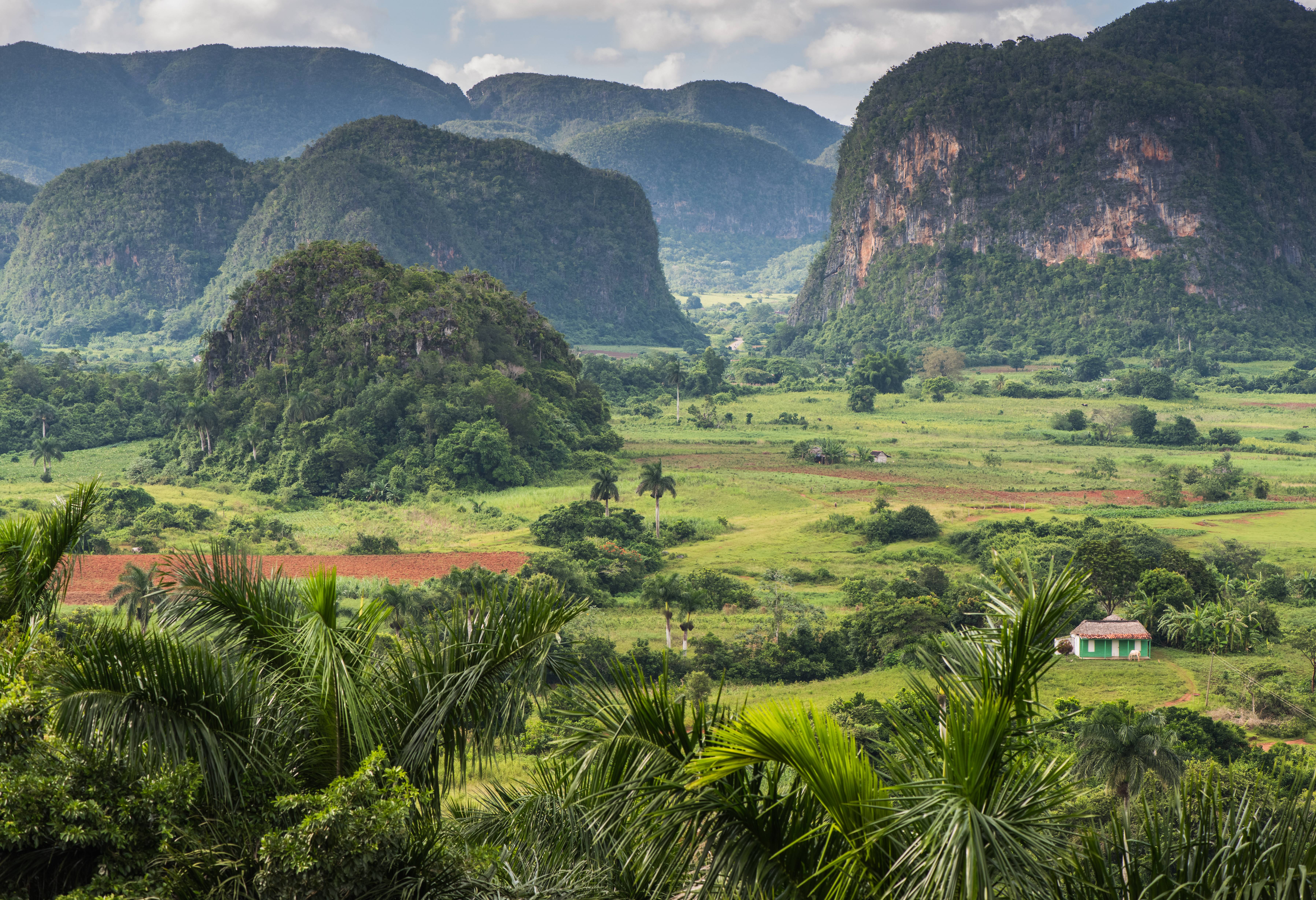 Vinales vallei met mogotes bij Vinales in Cuba