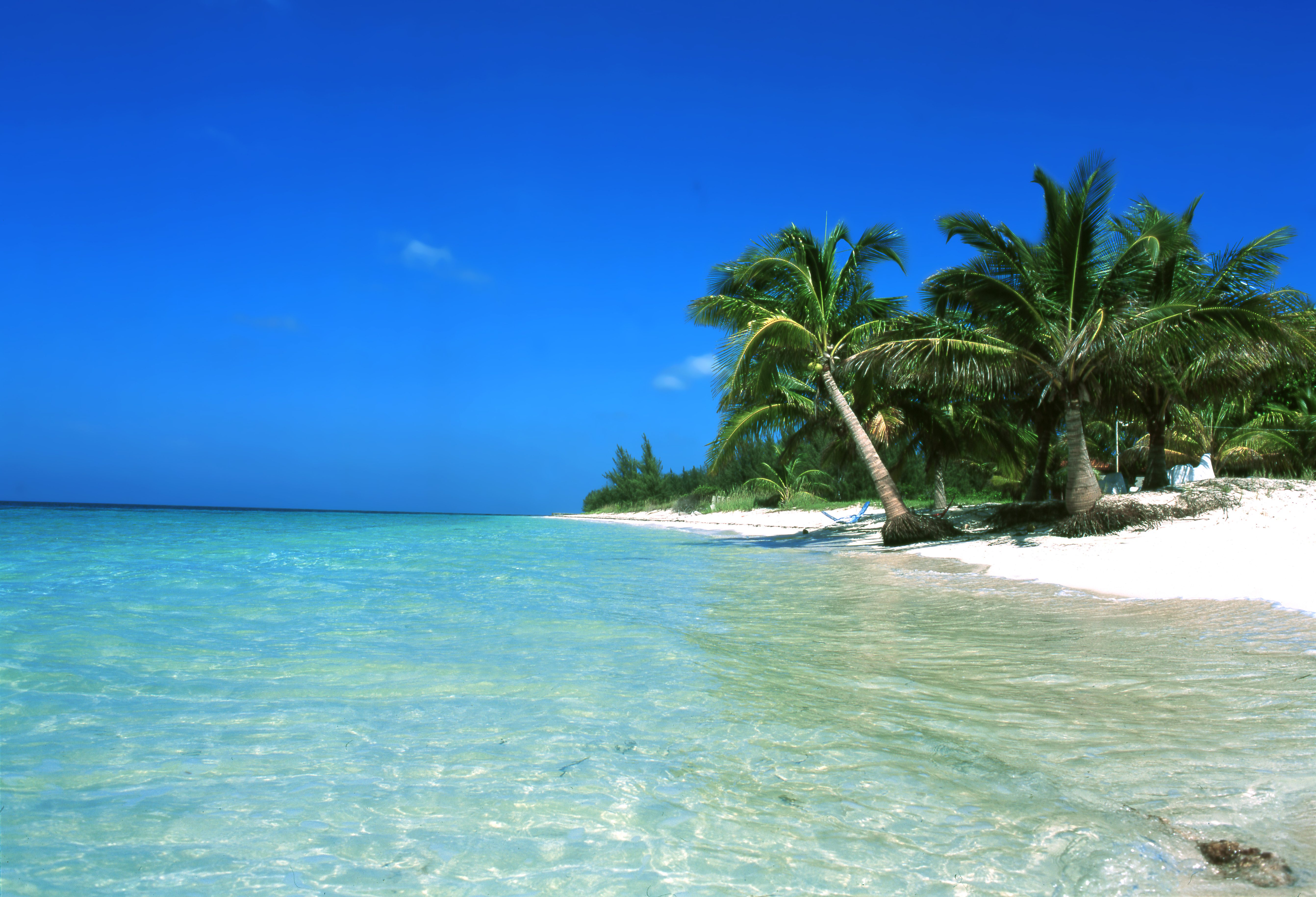 Strand van Cayo Levisa in Cuba