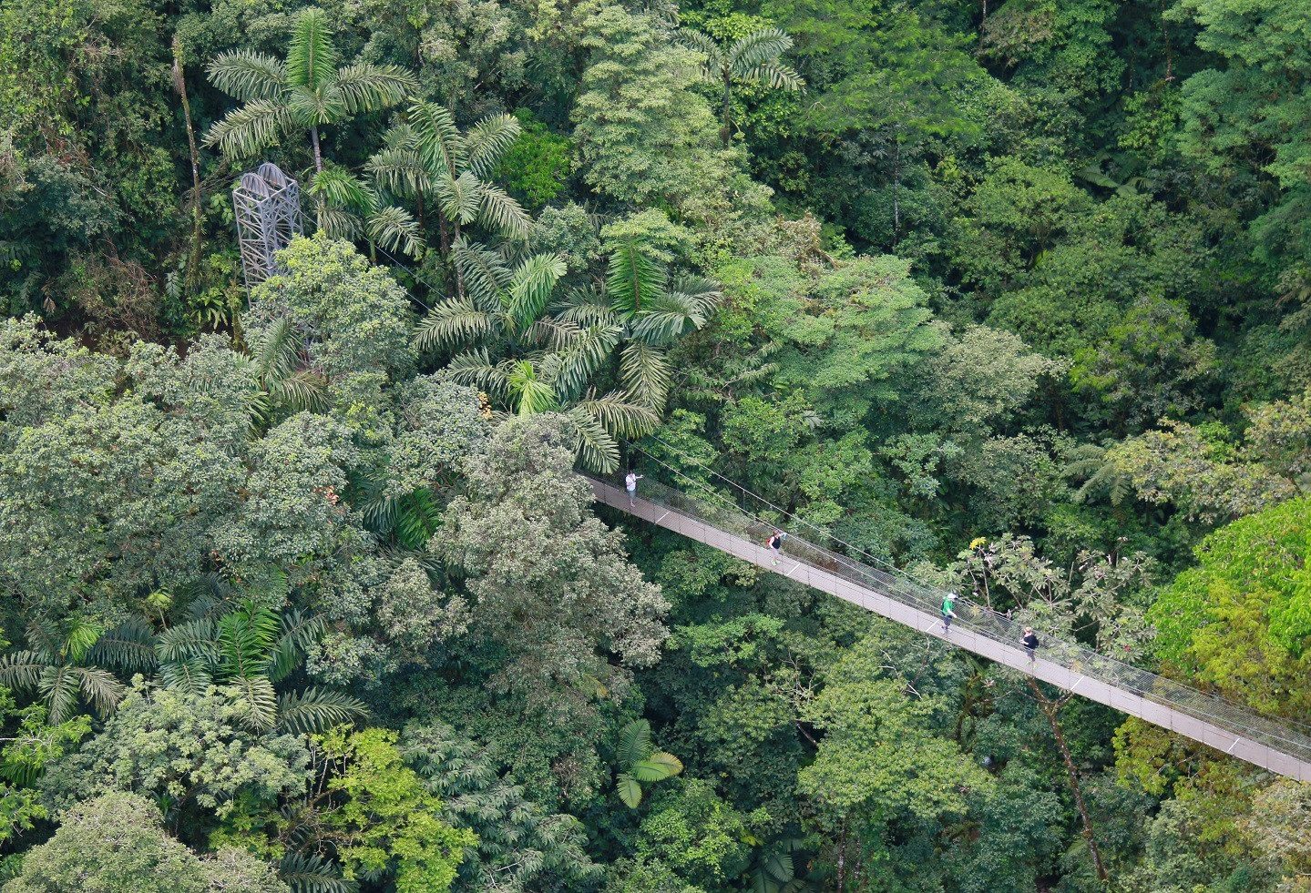 Hangbrug La Fortuna in Costa Rica