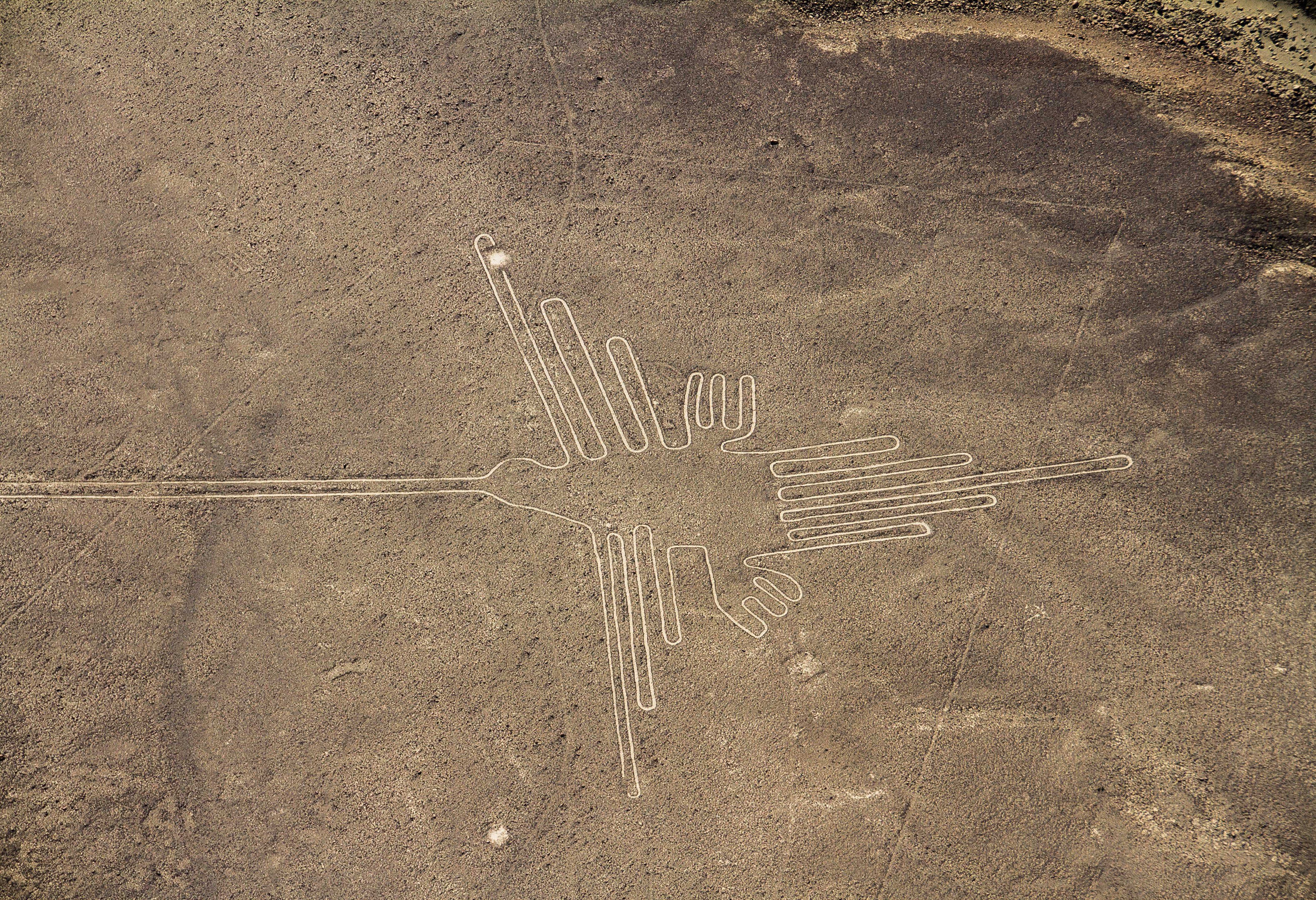 Rondvlucht over de Nasca lijnen bij Nasca in Peru