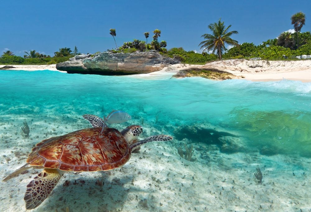 Islandhopping met een Caribisch tintje
