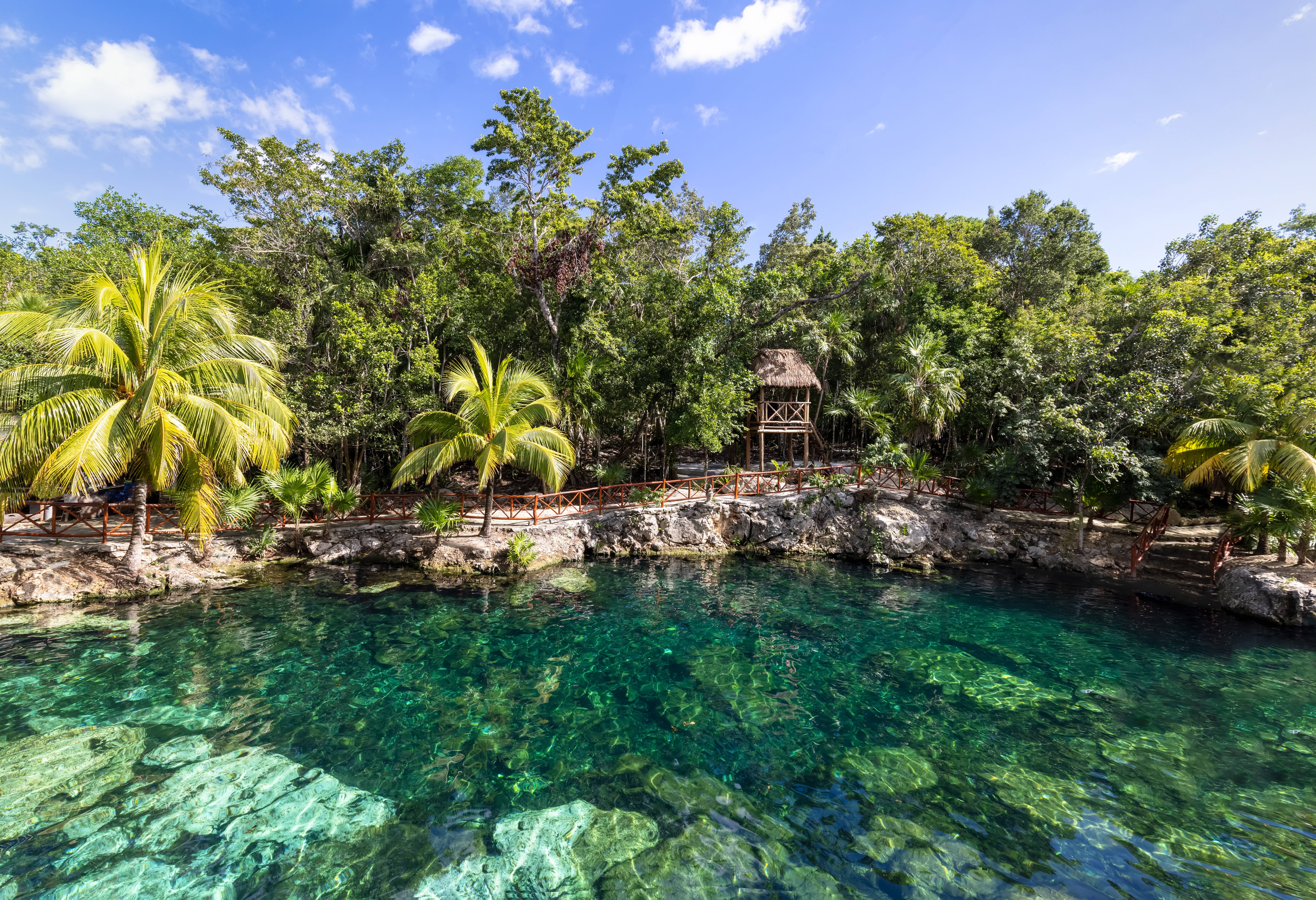 Cenote Casa Tortuga vlakbij Tulum in Yucatan Mexico
