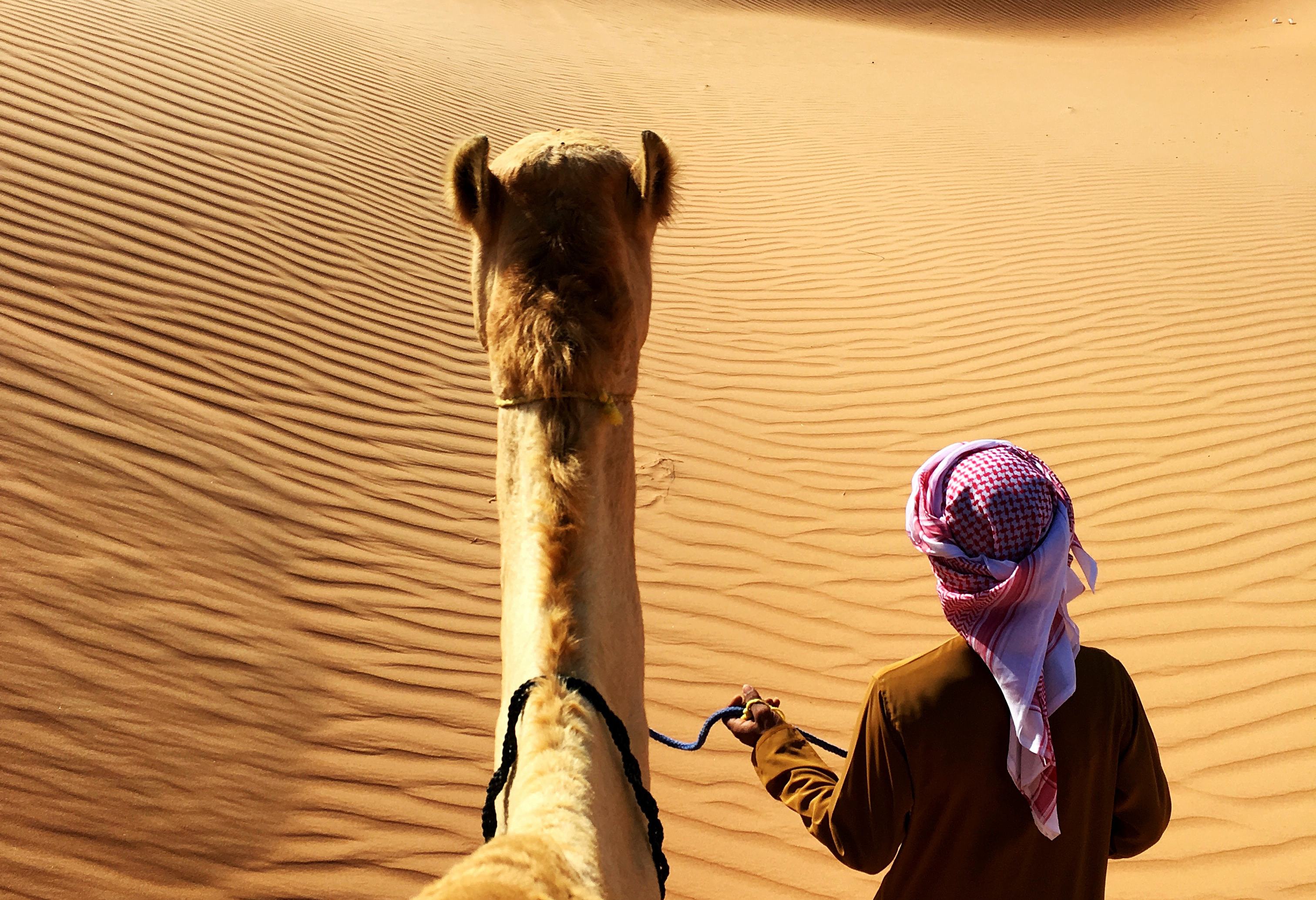 Oman-Wahiba-Sands-kameelrijden-uitzicht