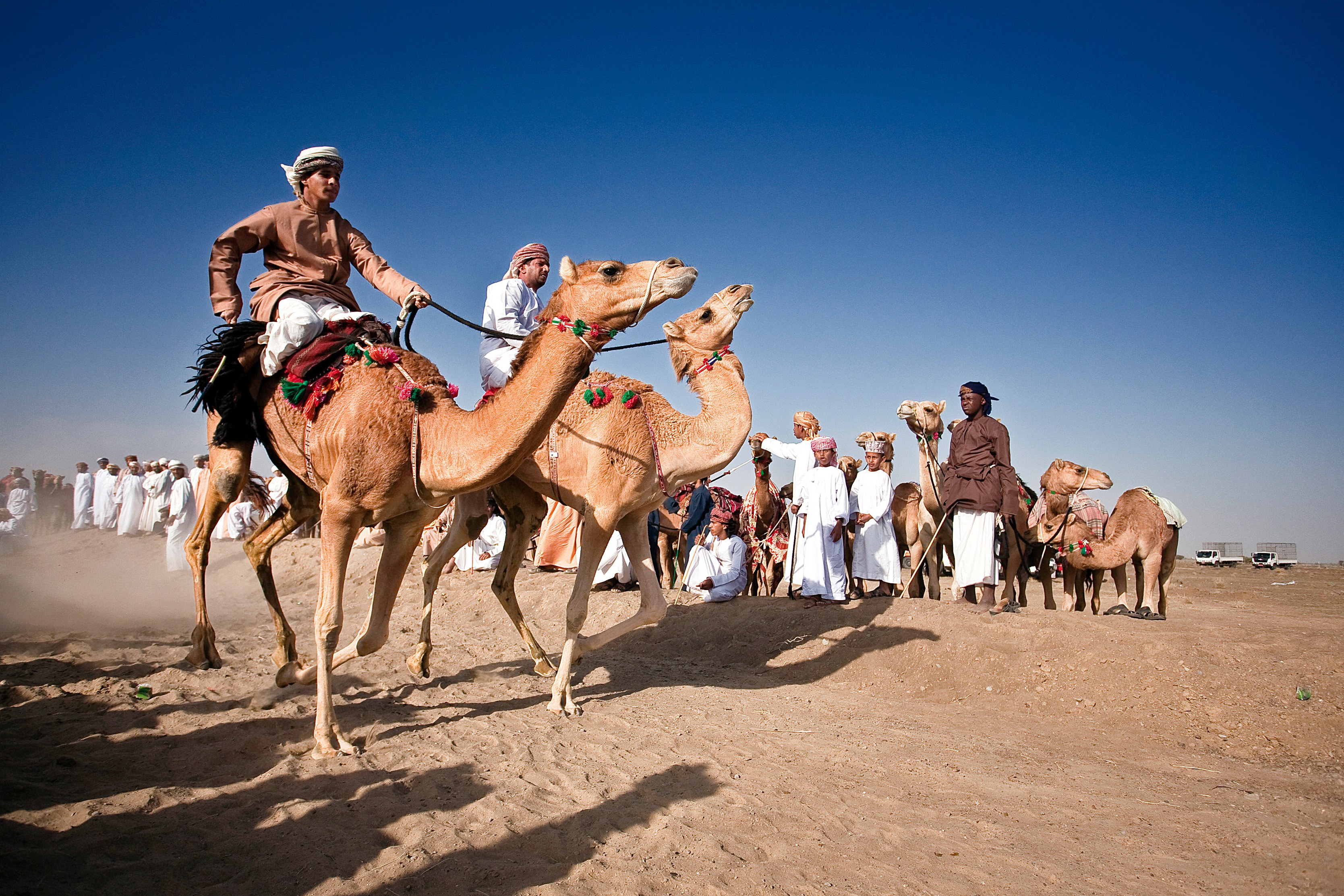 Oman-Wahiba-Sands-kamelen-race