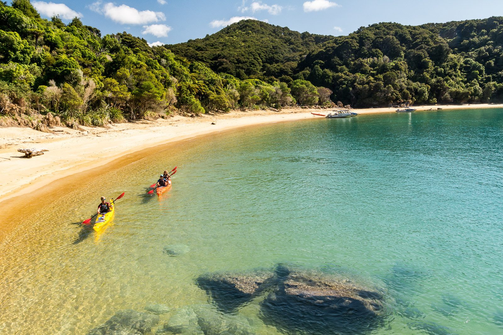 Kajakken in het Abel Tasman National Park in Nieuw-Zeeland
