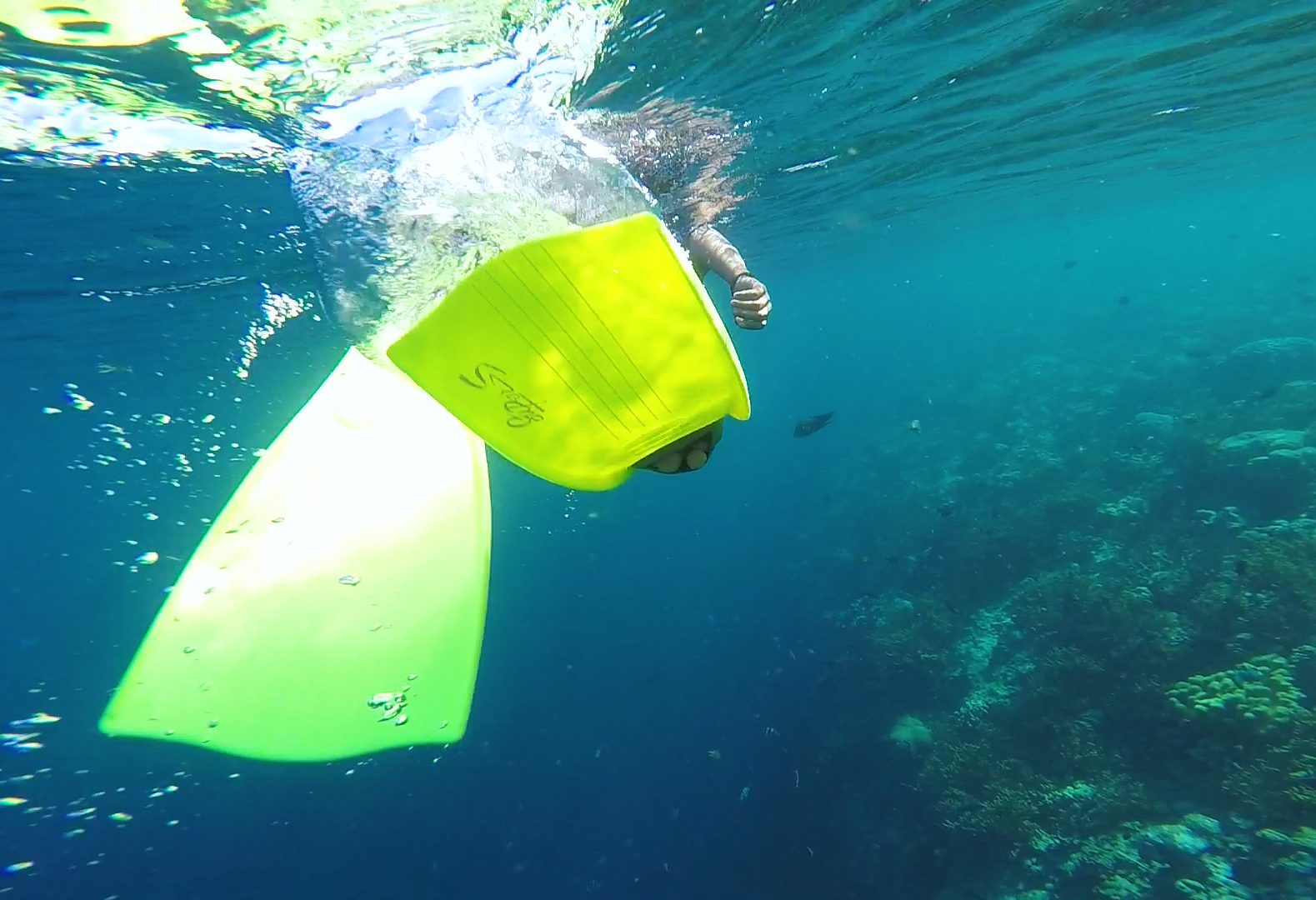 Snorkelen bij Menjangan eiland