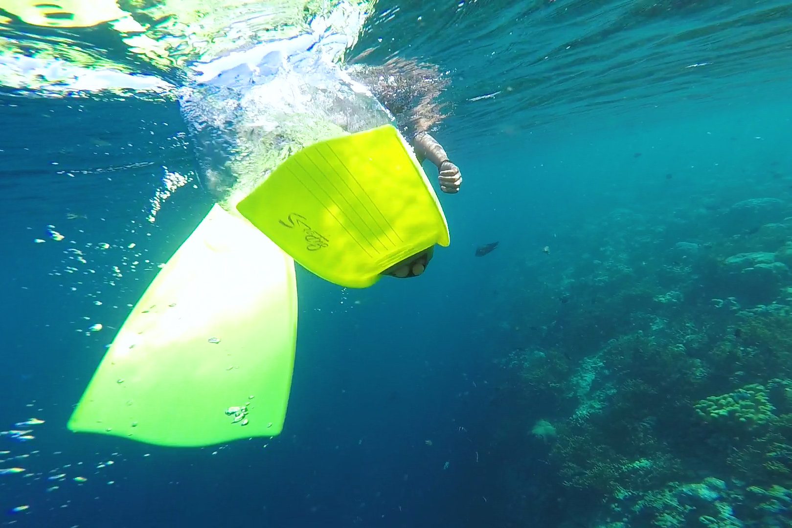 Indonesië-Bali-Menjangan-snorkelen