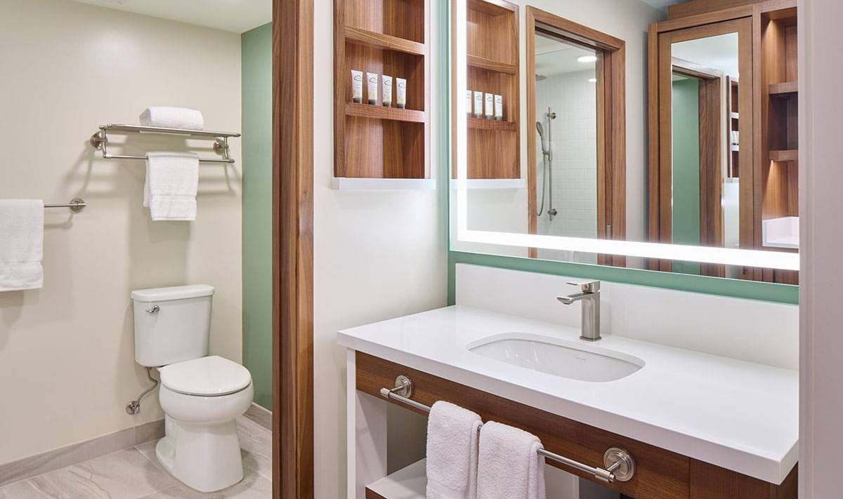 Amerika-Hawaii-Maui-kaanapalibeachhotel-badkamer