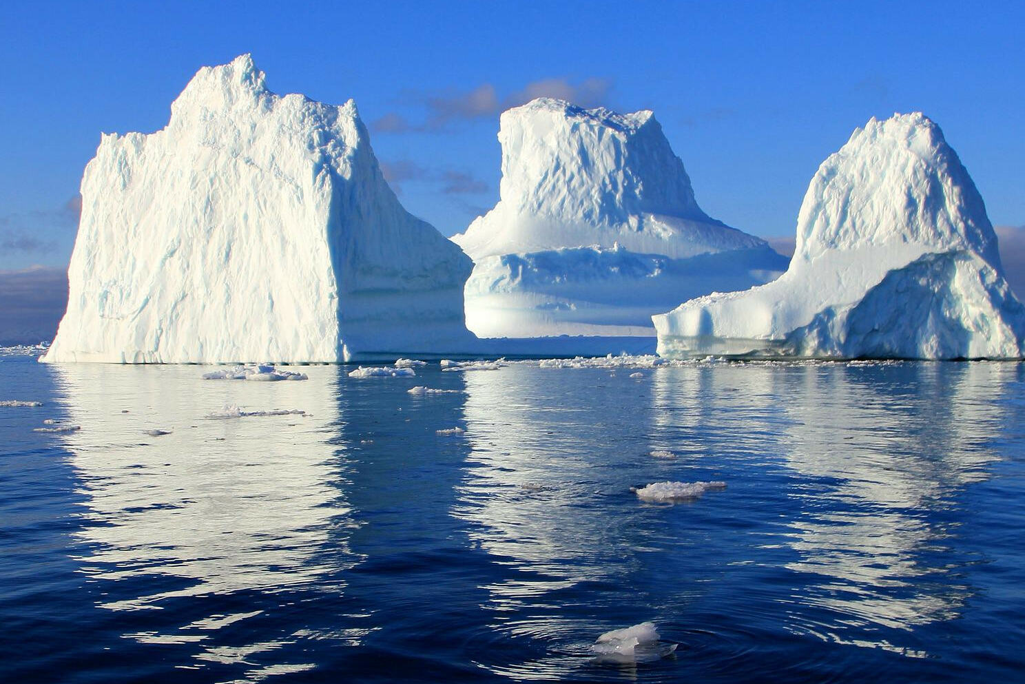 IJsschotsen in Groenland