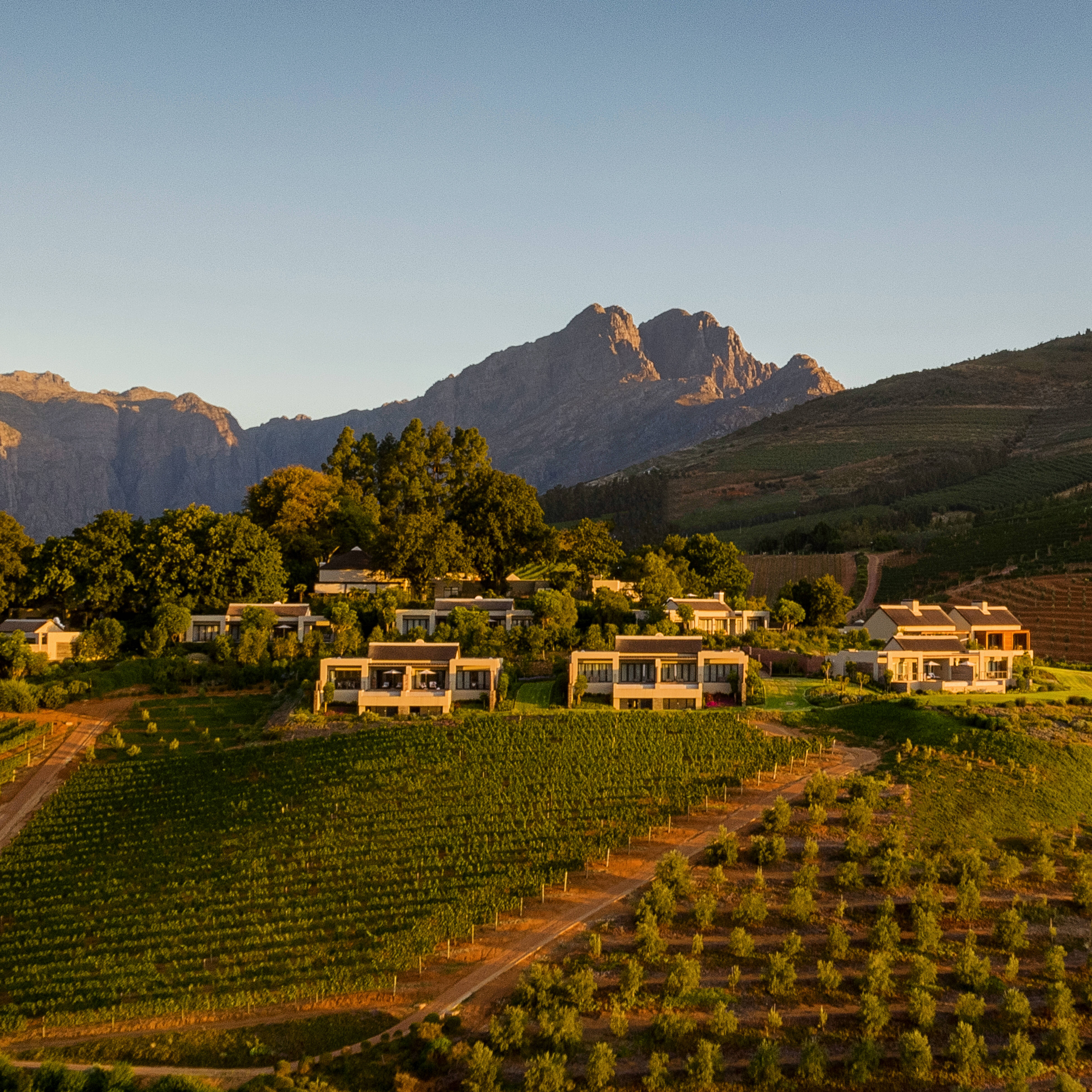 stellenbosch