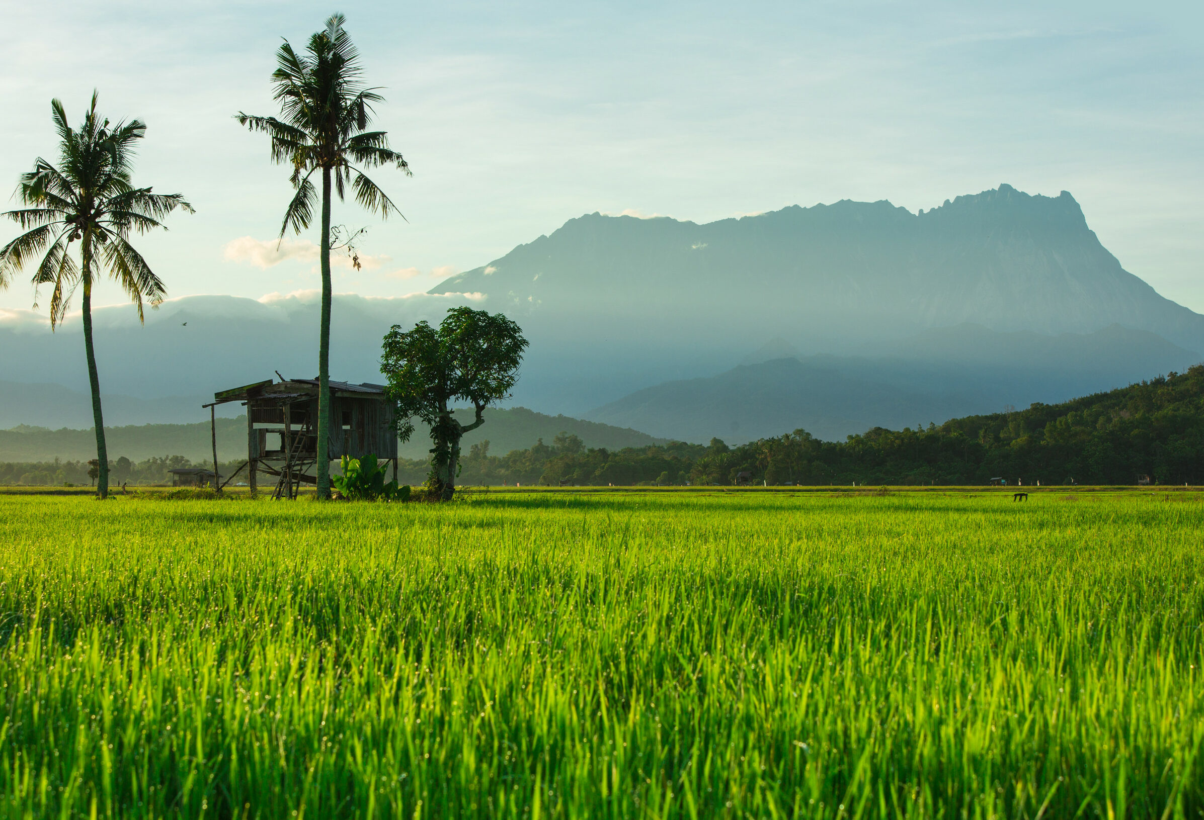 Mount Kinabalu in Sabah Borneo