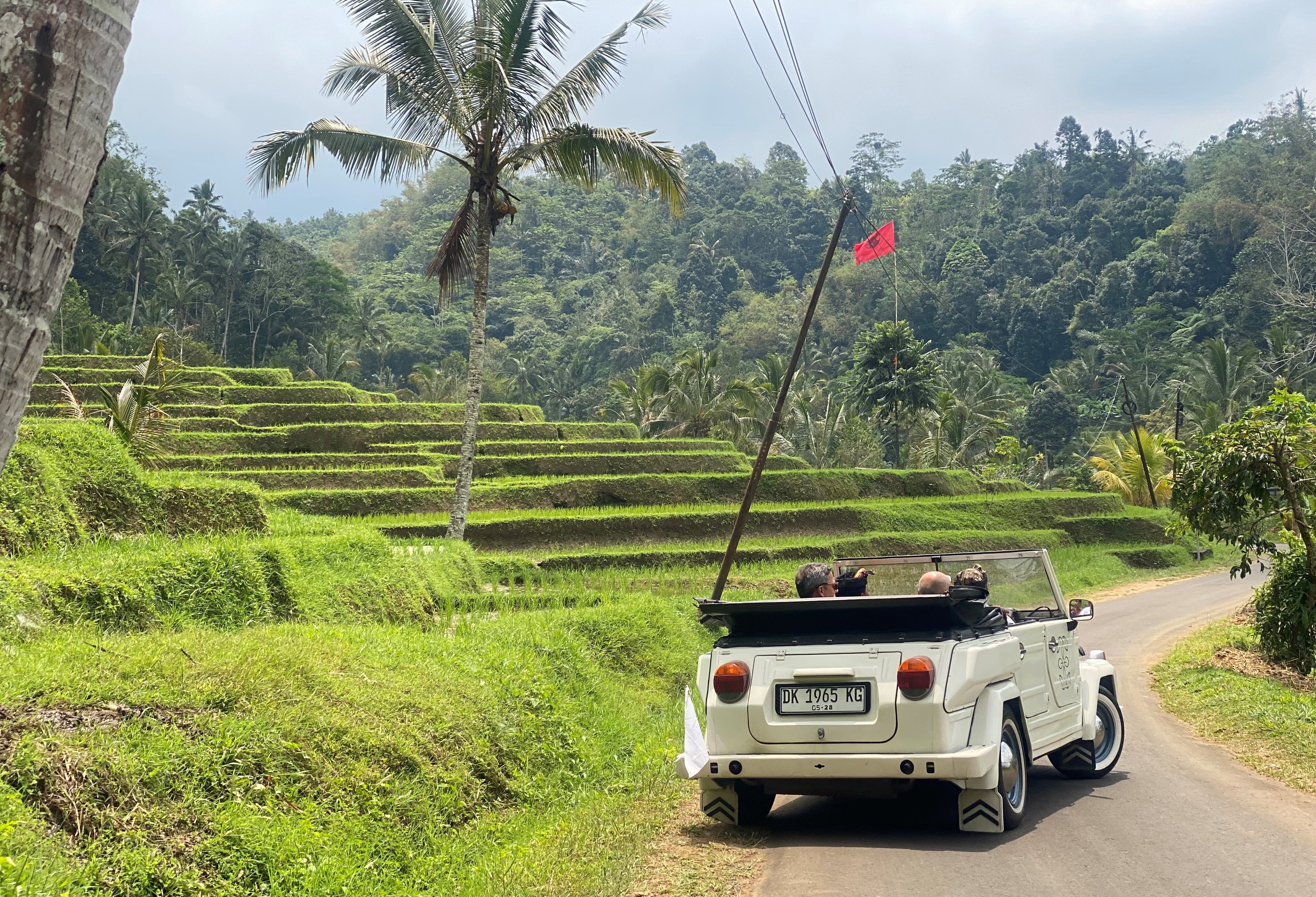 VW Safari naar de Jatiluwih rijstvelden op Bali
