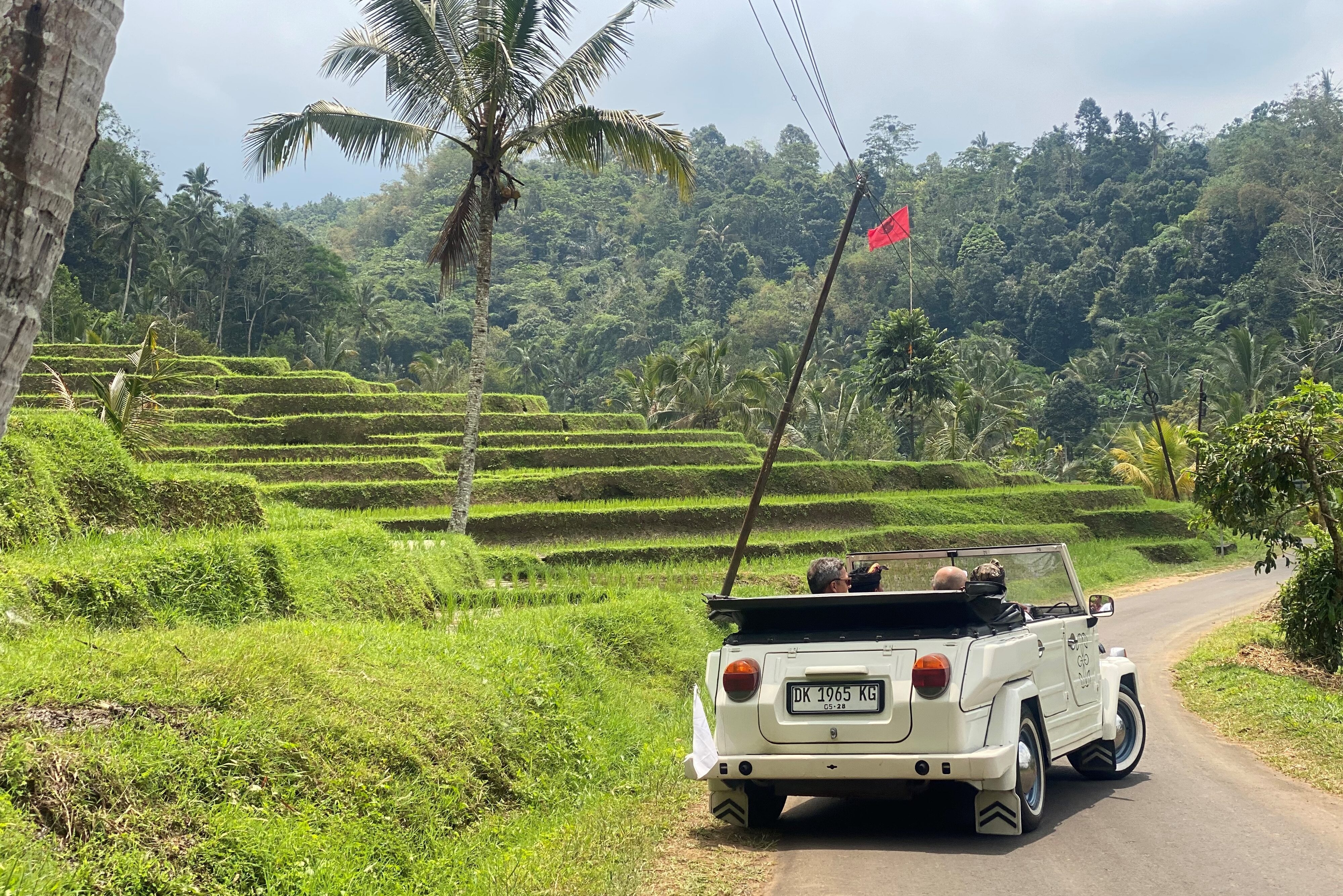 VW Safari naar de Jatiluwih rijstvelden op Bali