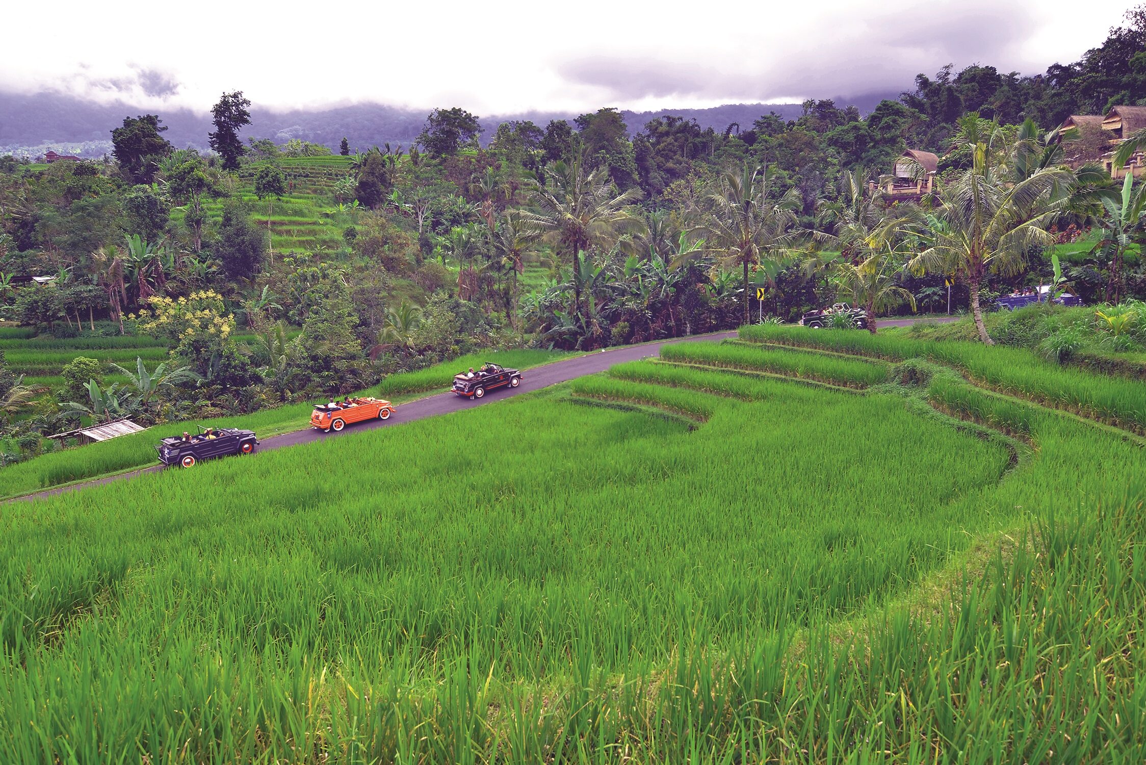 Rit per VW Safari naar de Jatiluwih rijstvelden op Bali