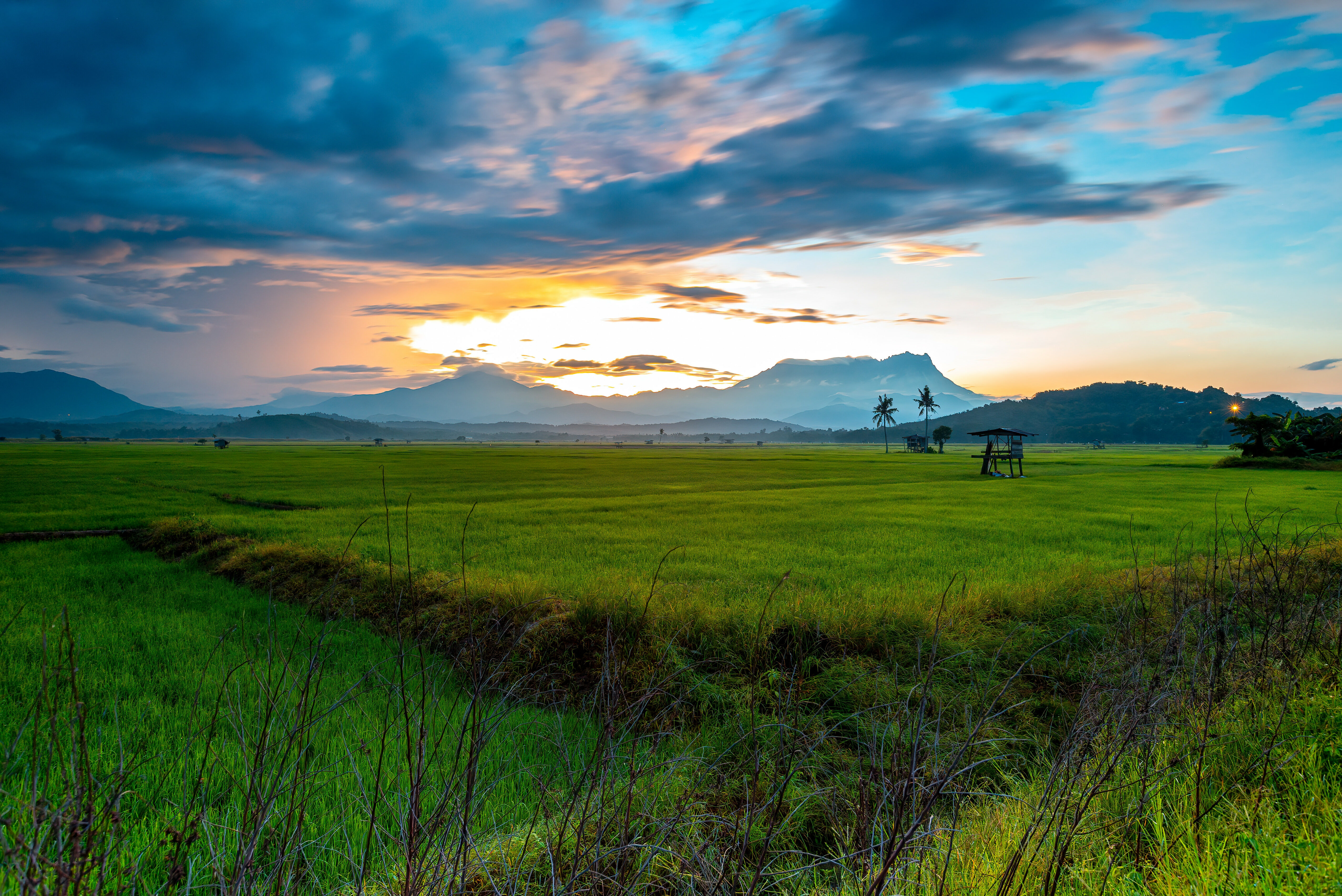 Mount Kinabalu omringd door rijstvelden