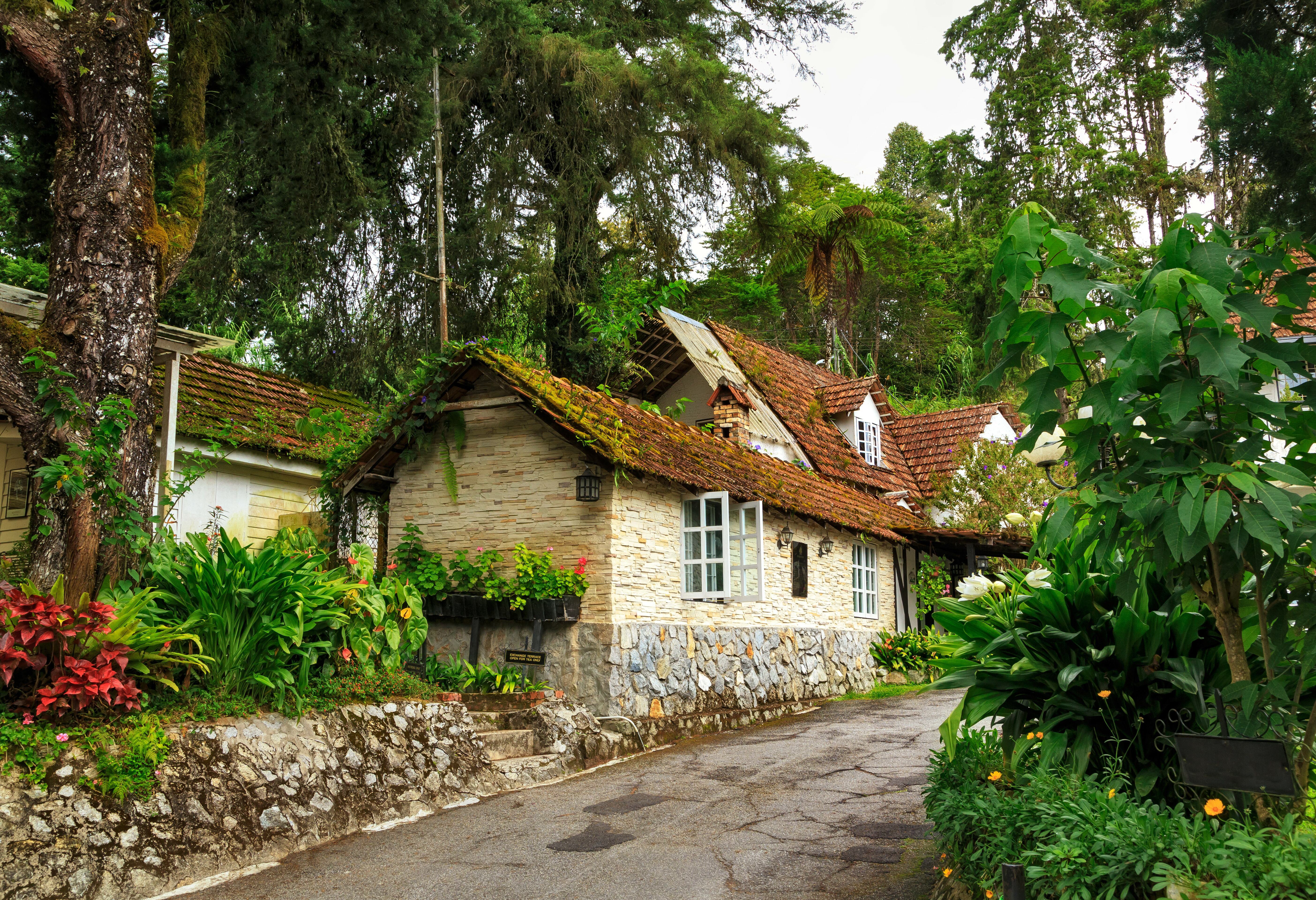 Lokaal huisje in de Cameron Highlands