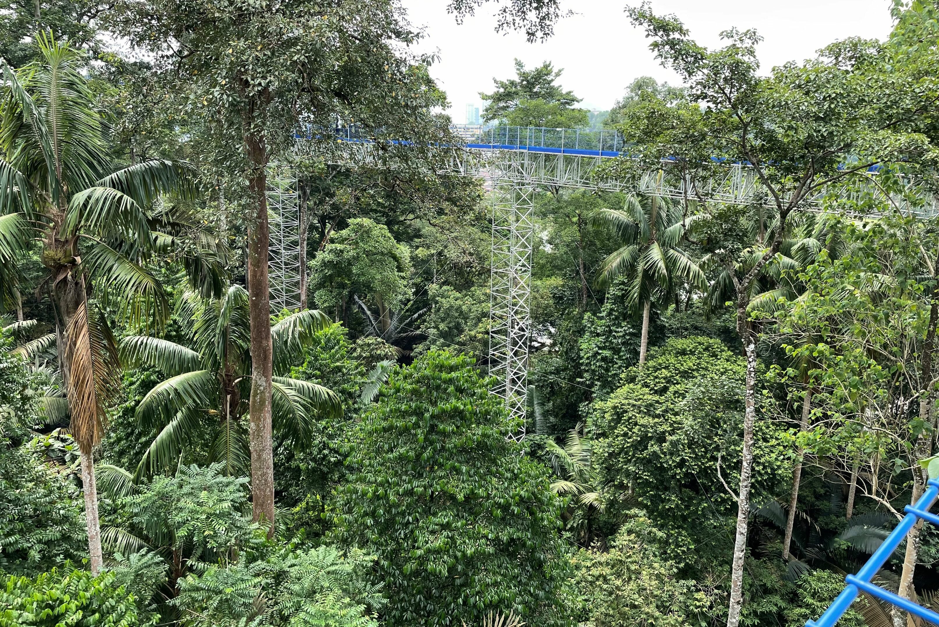 FRIM Skywalk bij Kuala Lumpur