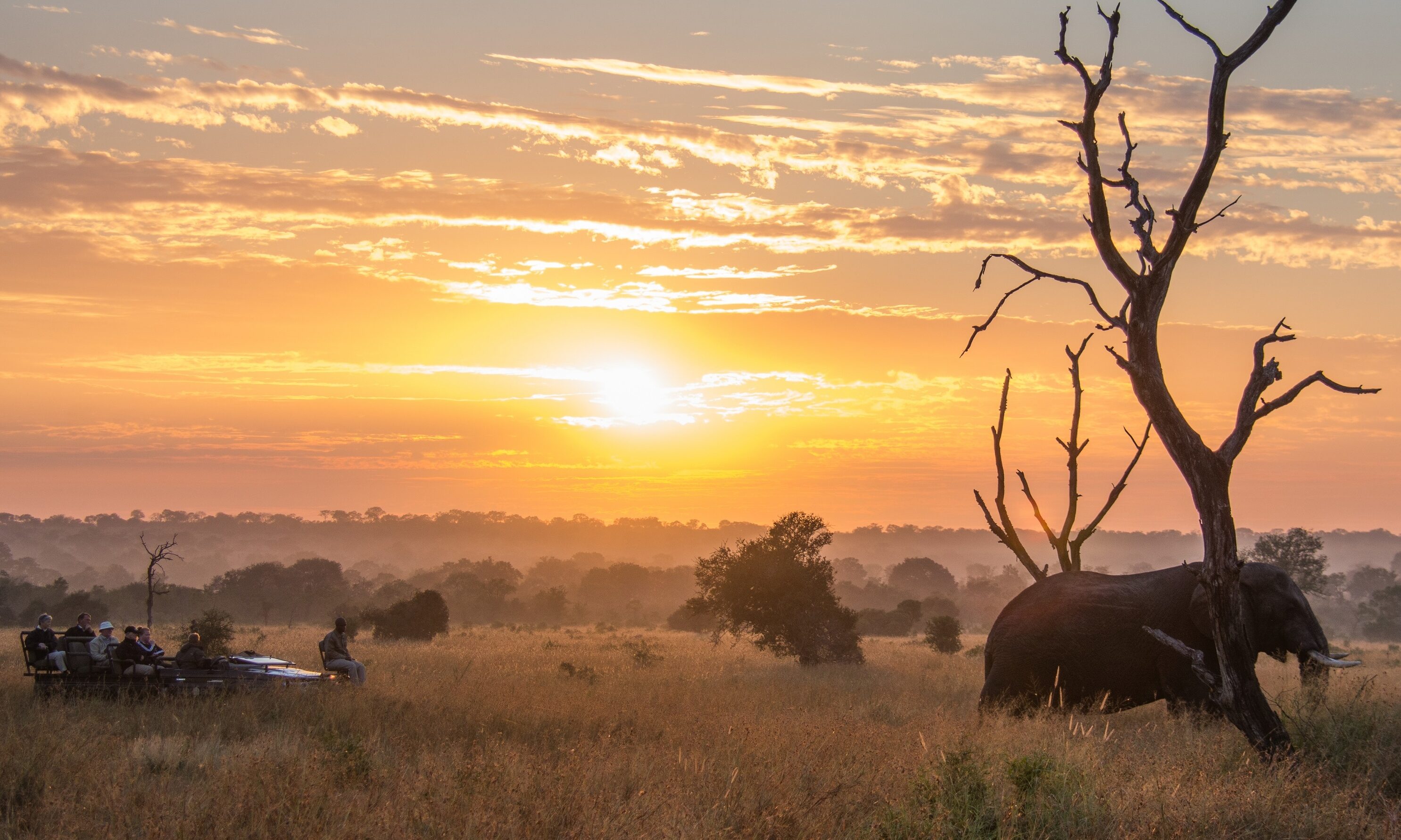 Sabi Sabi Earth Lodge