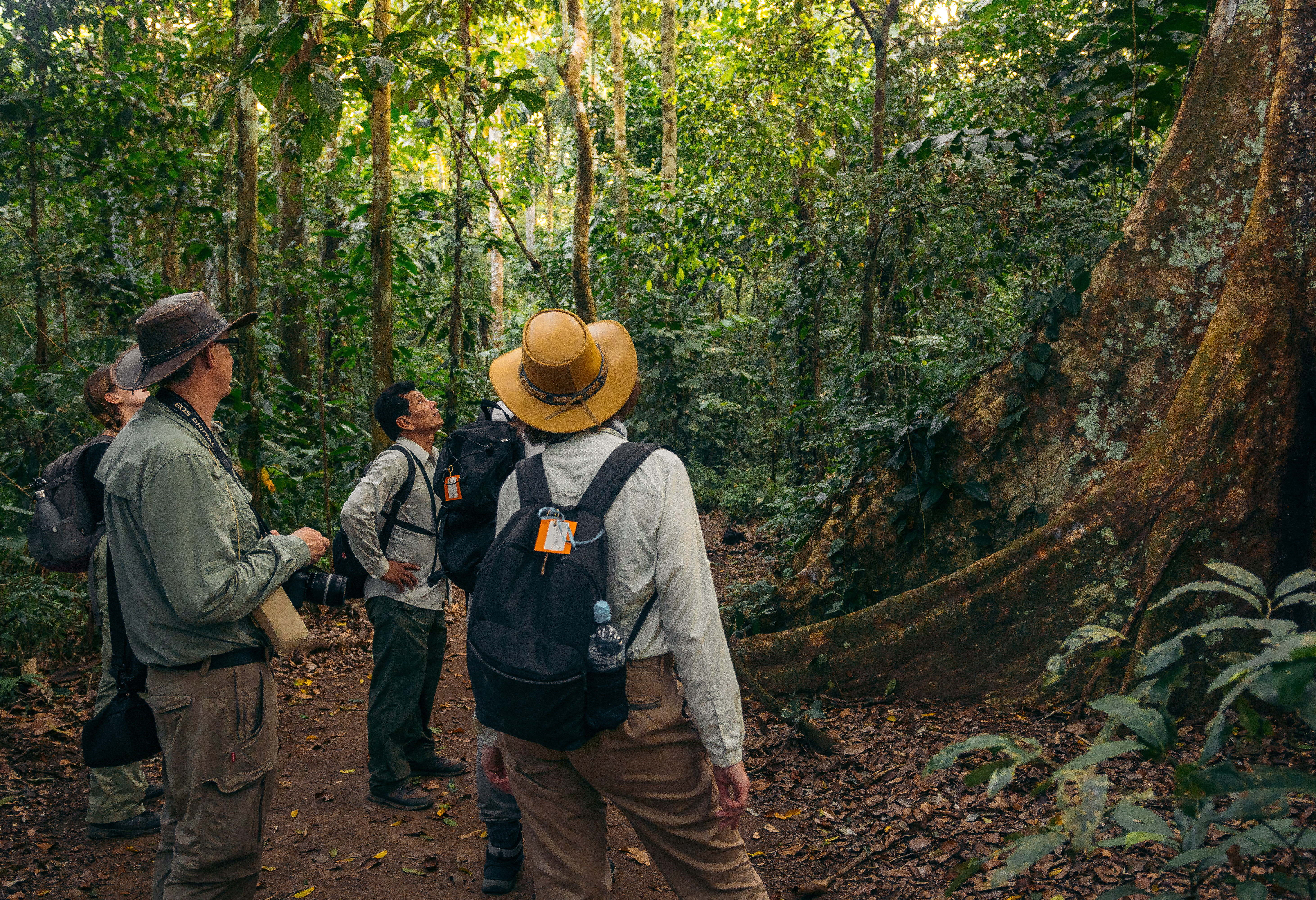 Trekking in het Amazone regenwoud in de Amazone in Peru