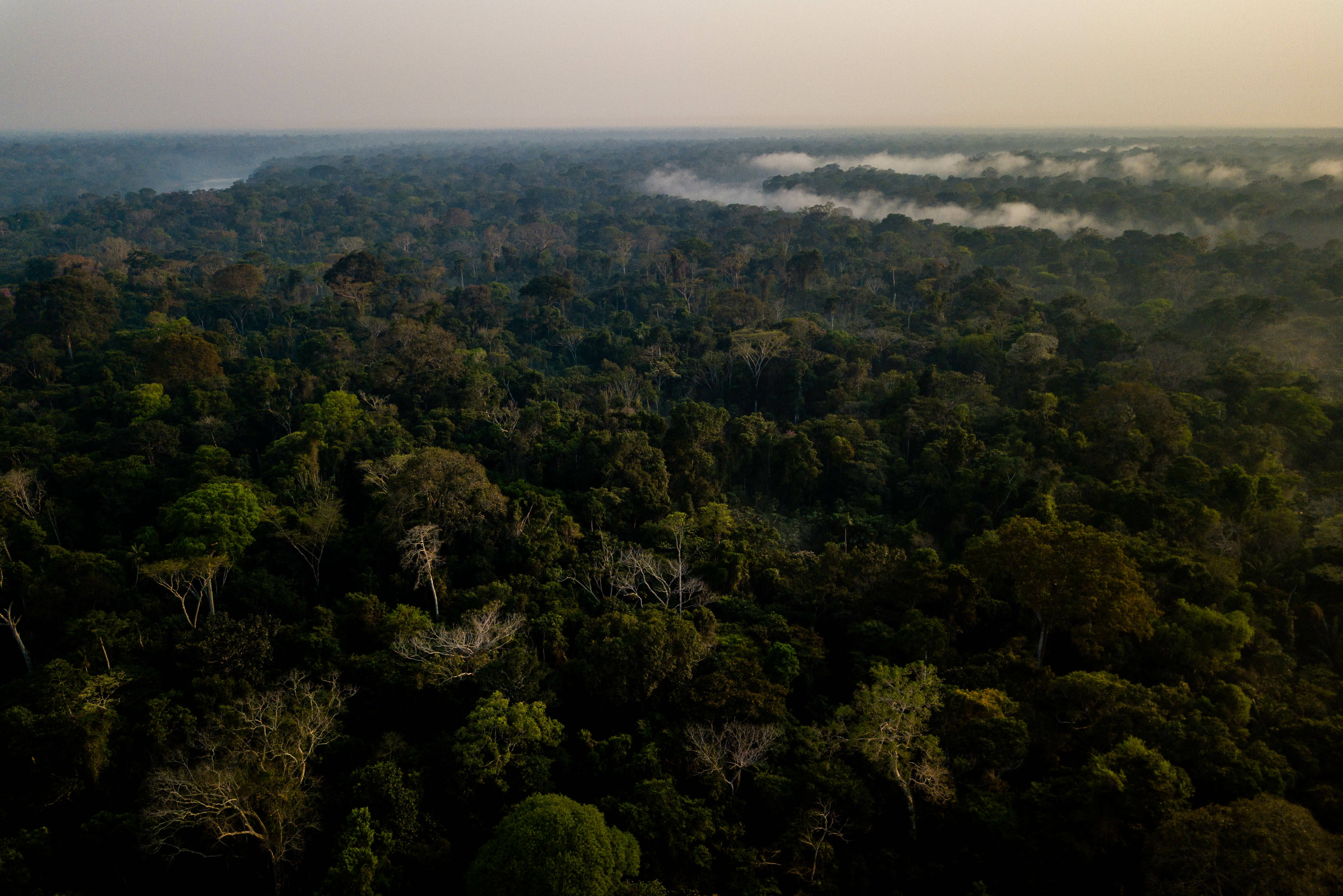 Uitzicht over het Amazone Regenwoud in Peru