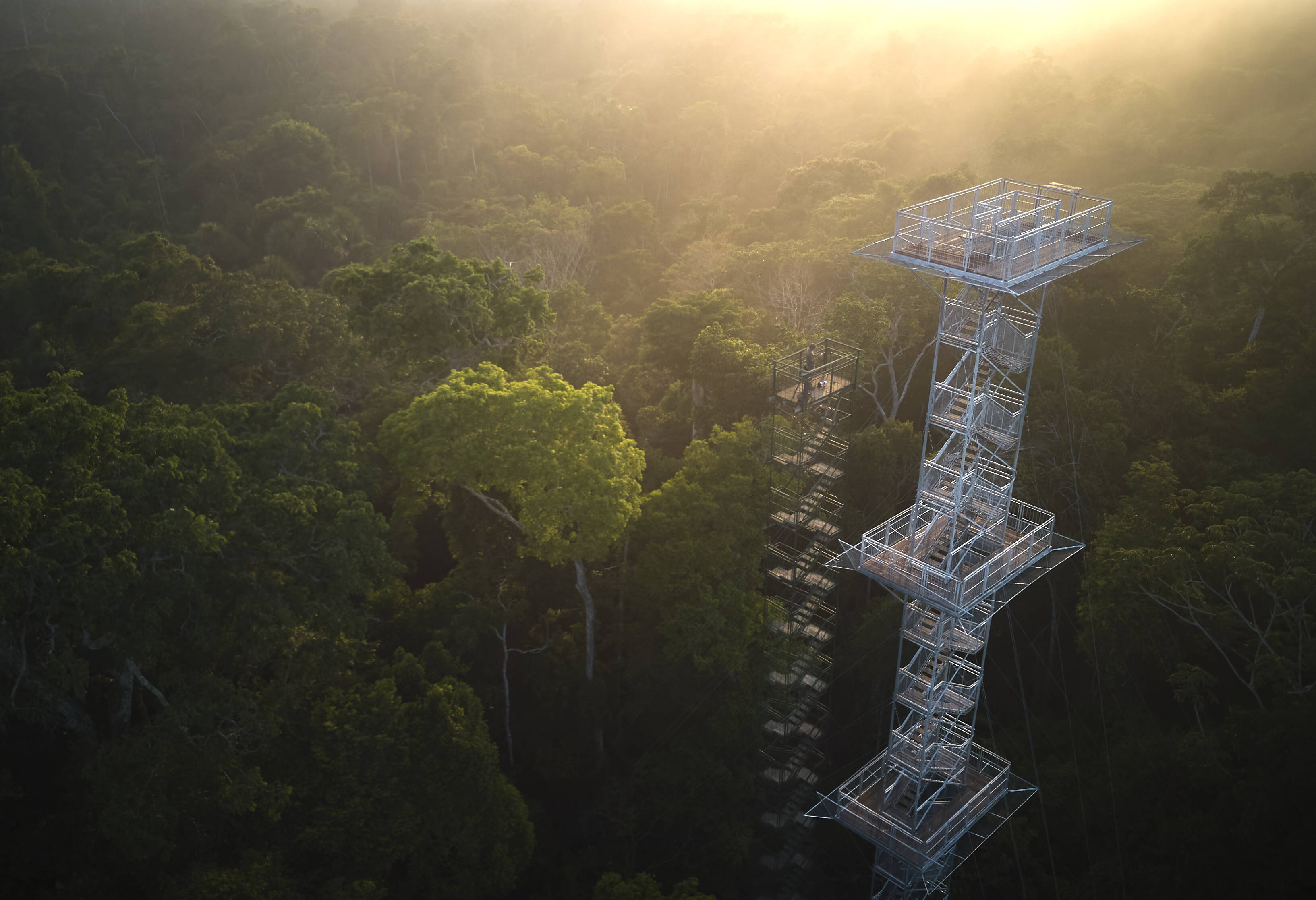 Canopy tower in het regenwoud van de Amazone in Peru