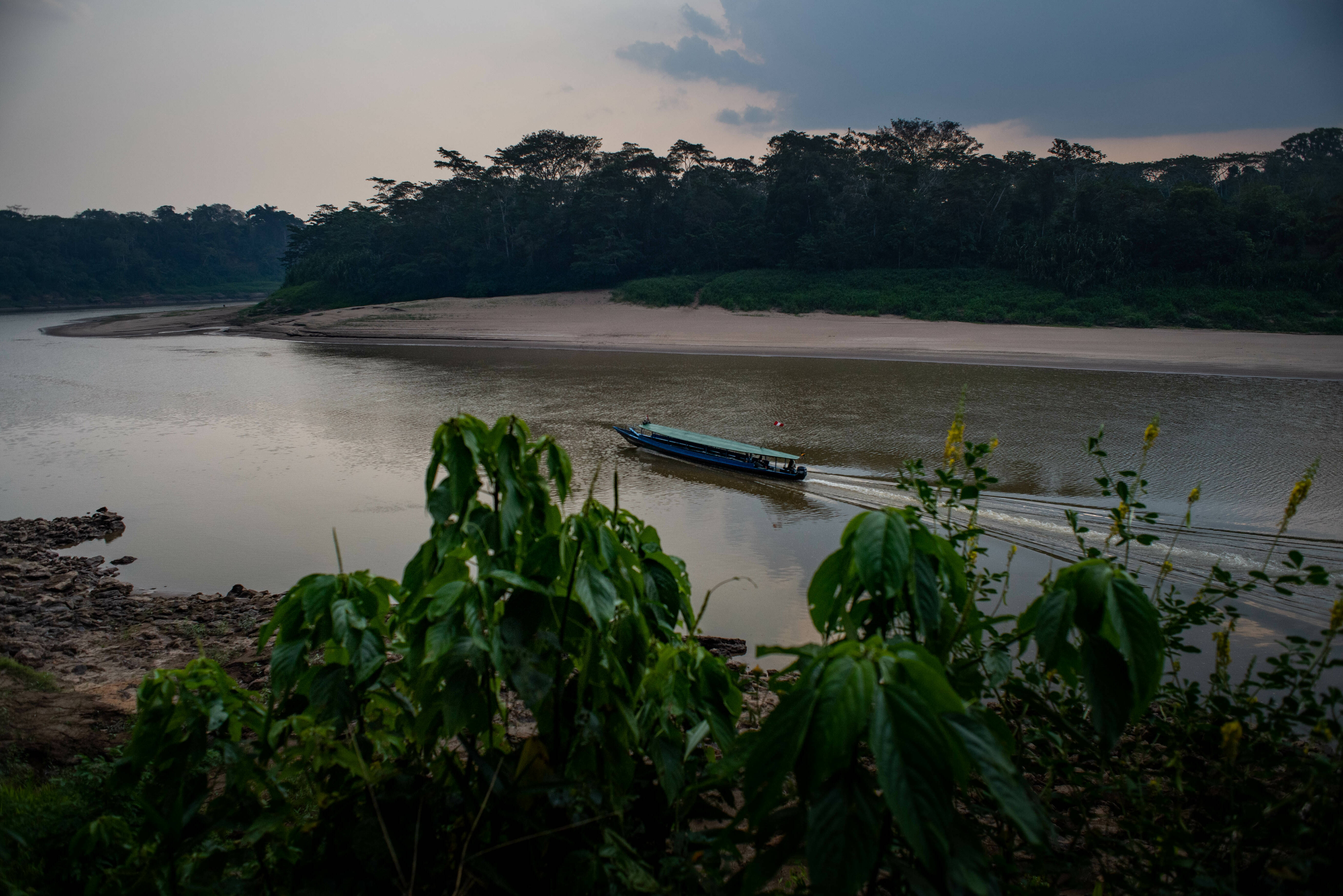 Boottocht over de rivier in het Amazone regenwoud in Peru