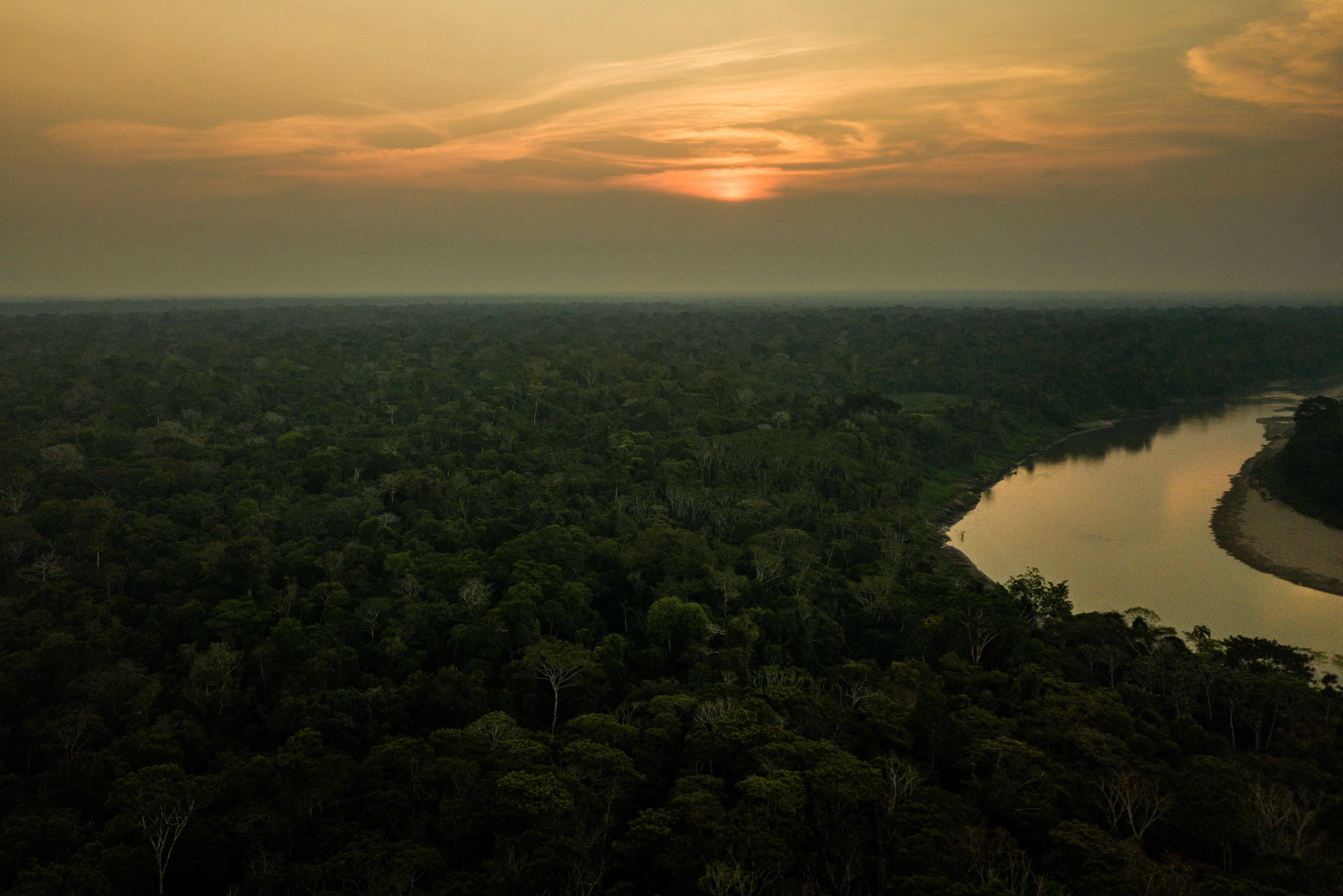 Het Amazone regenwoud bij schemering in Peru