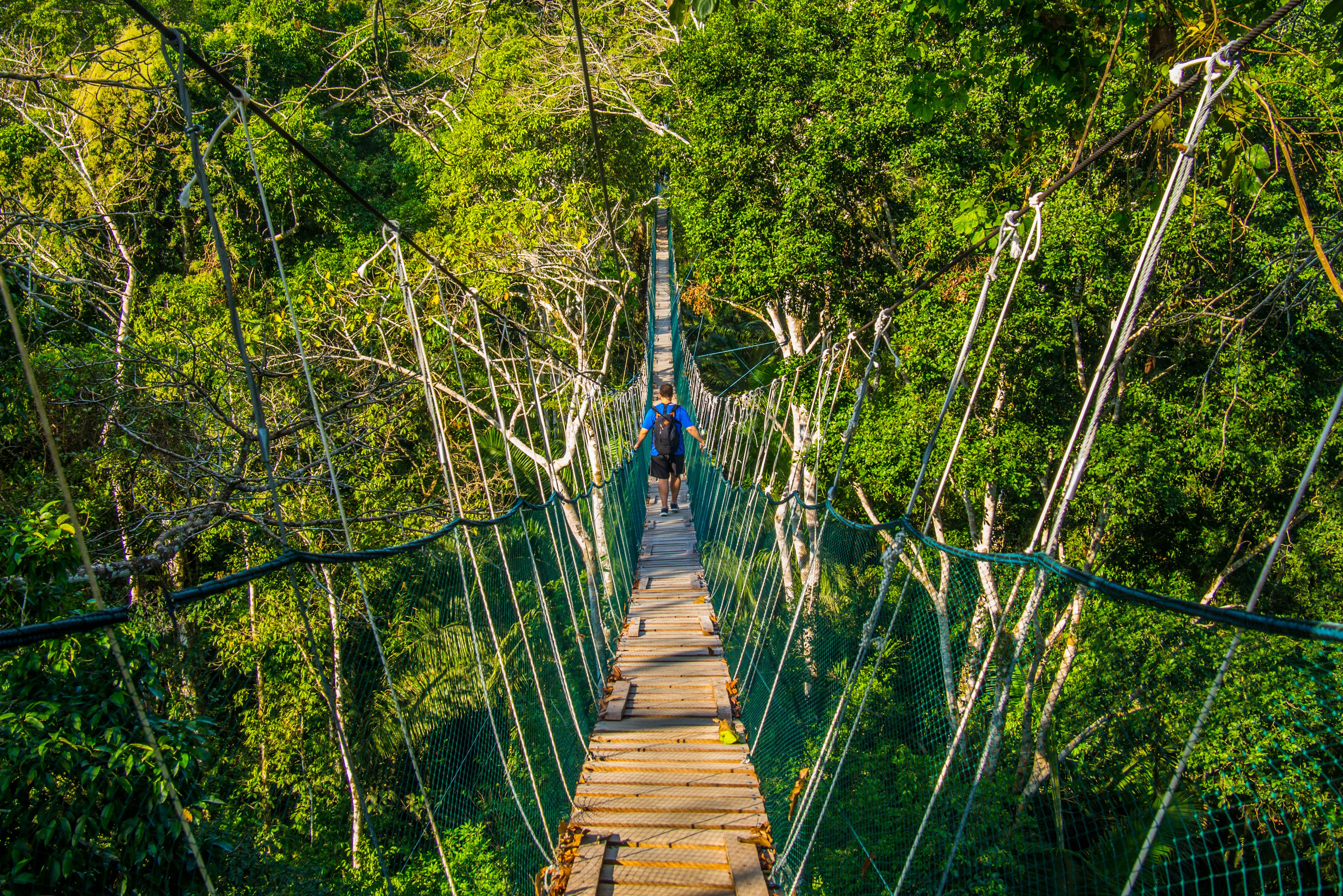Hangbrug tijdens canopy walk in het Amazone regenwoud in Peru