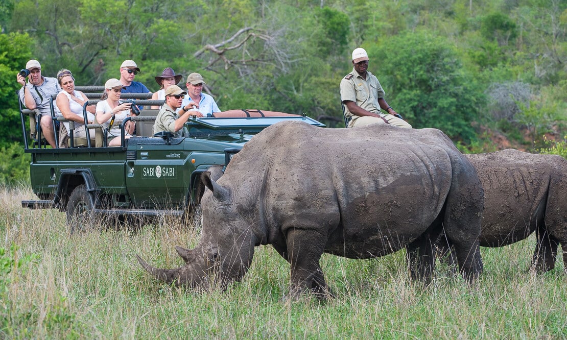 safari eart lodge