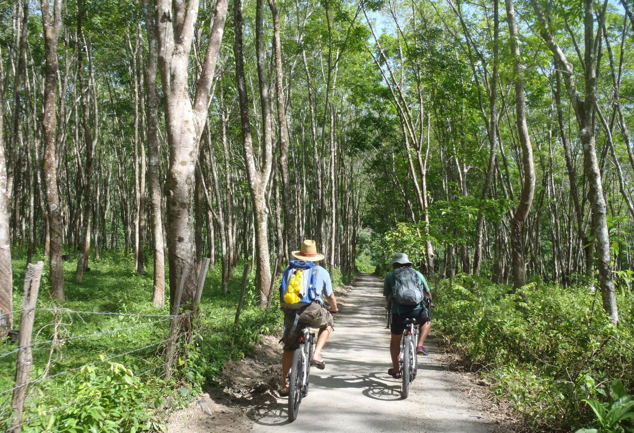 Fietstour op Langkawi