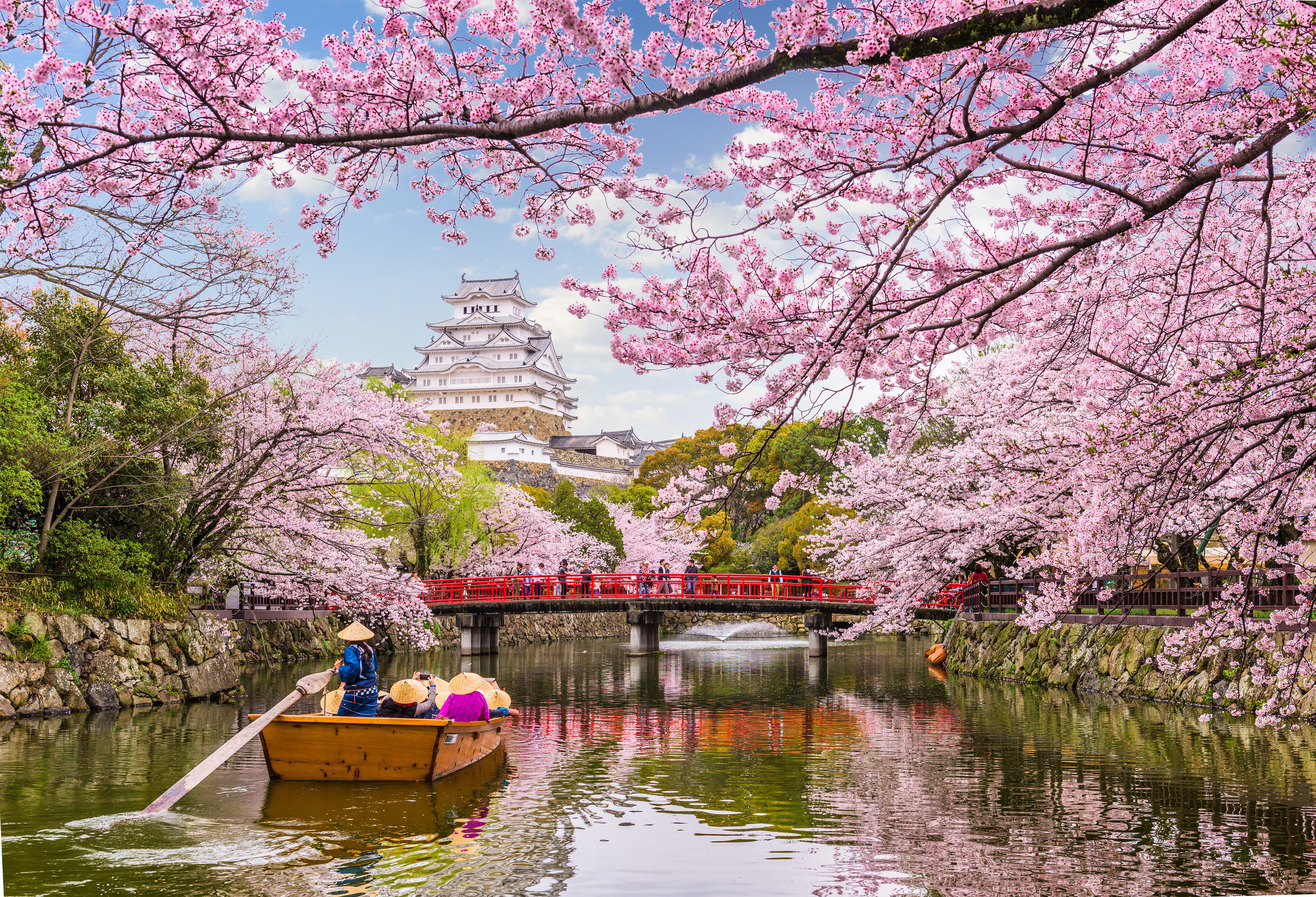 Japan Kansai Himeji Bloesem