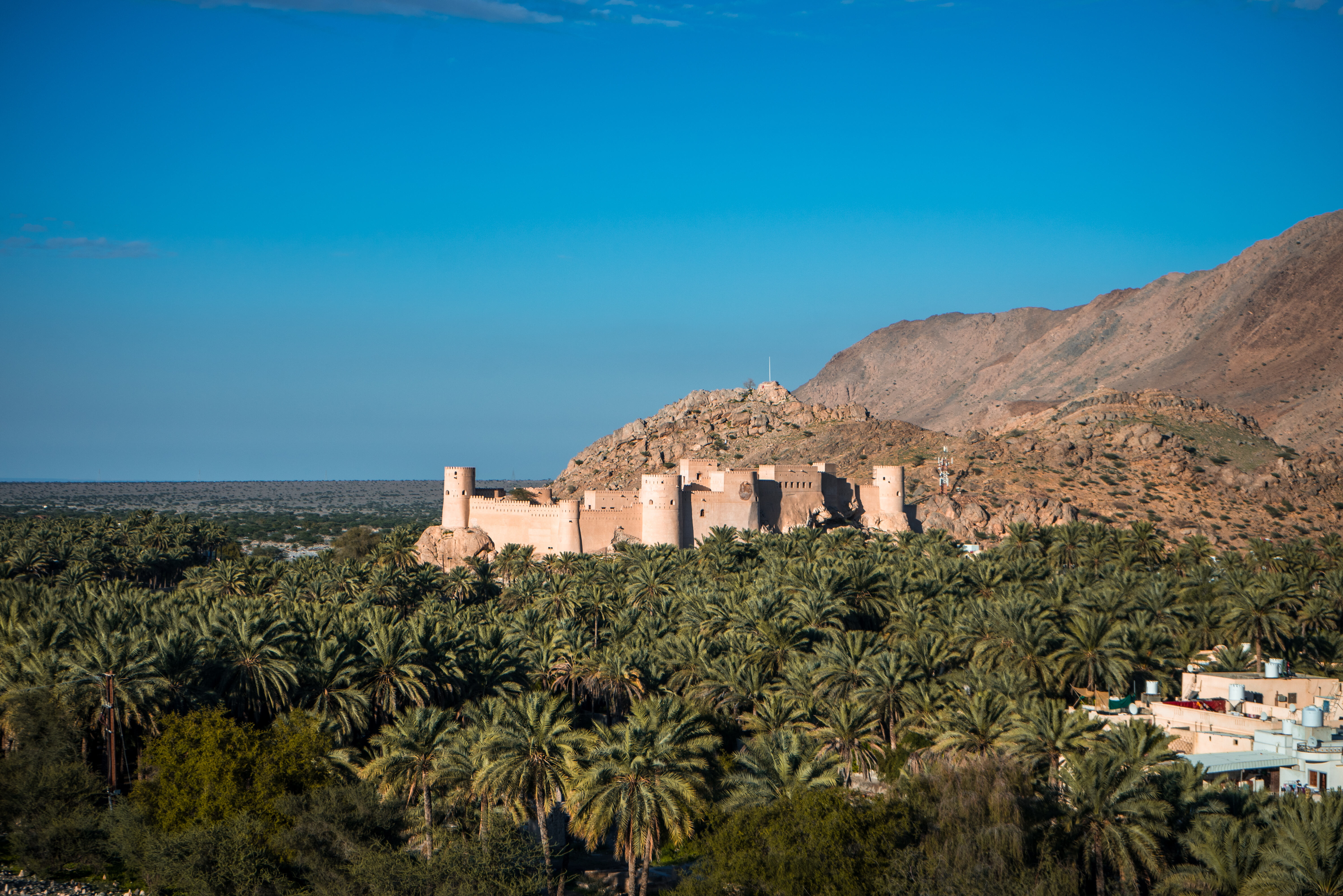 Oman Nizwa Fort