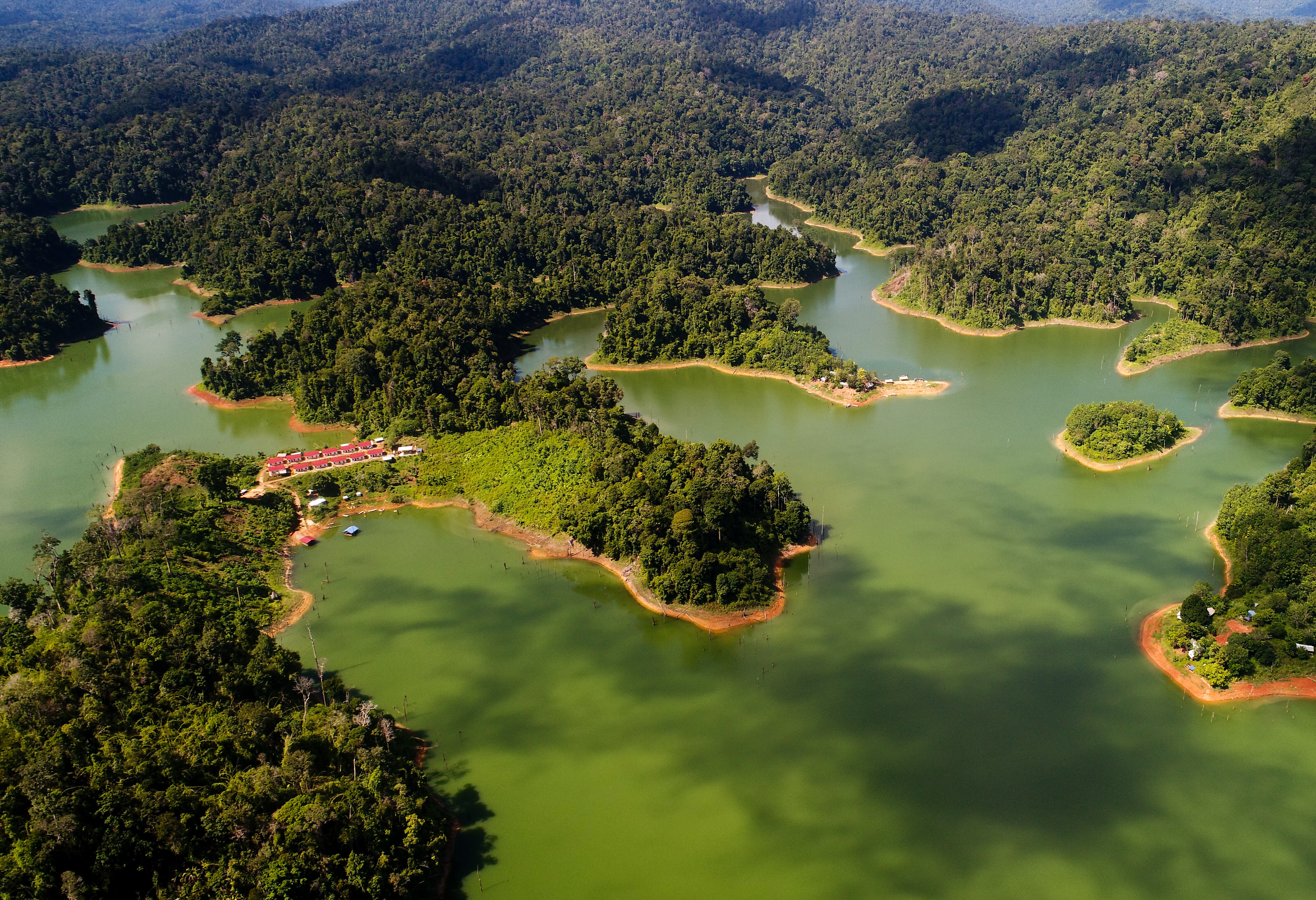 Belum Rainforest Reserve