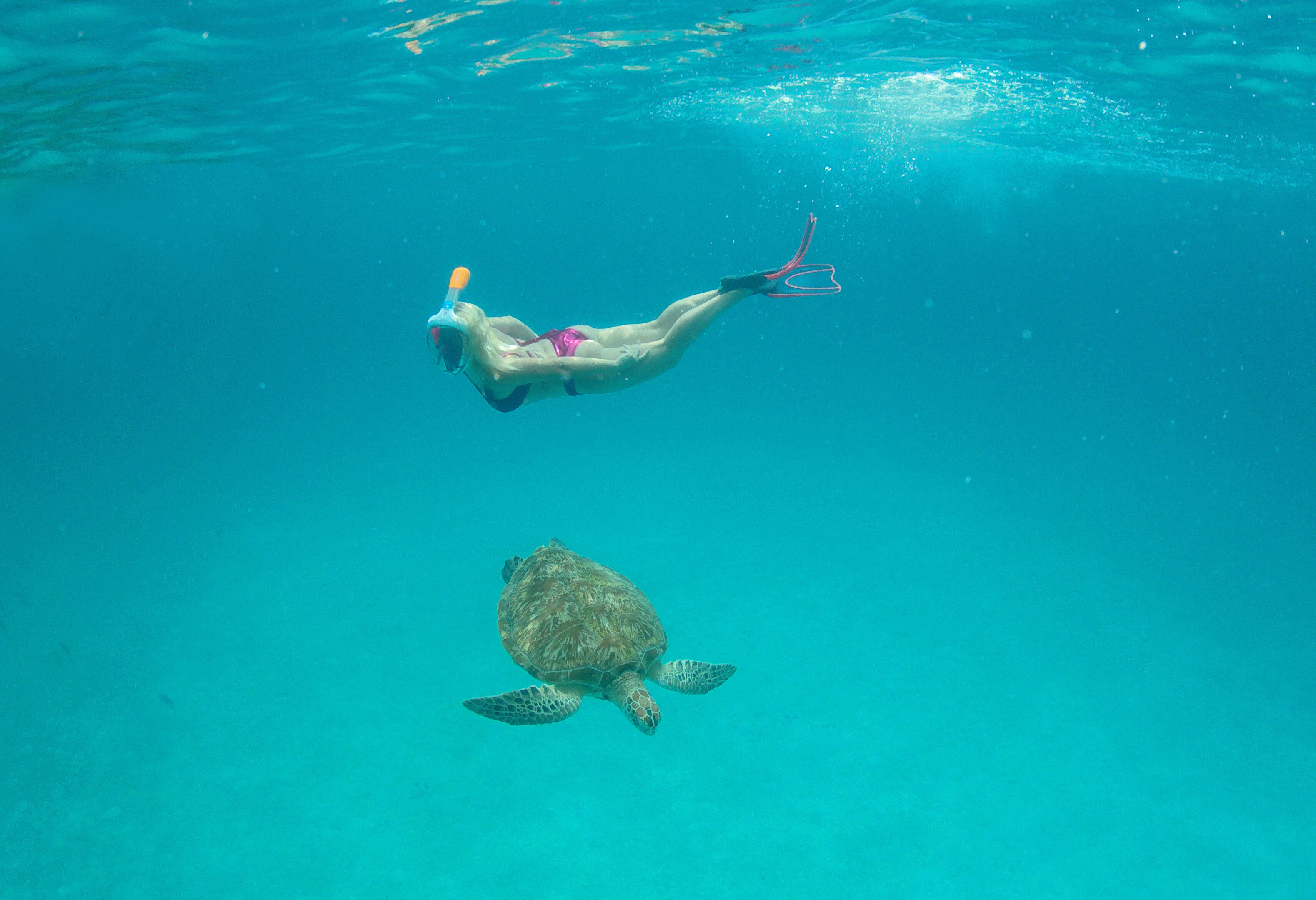 Snorkelen bij Redang Island