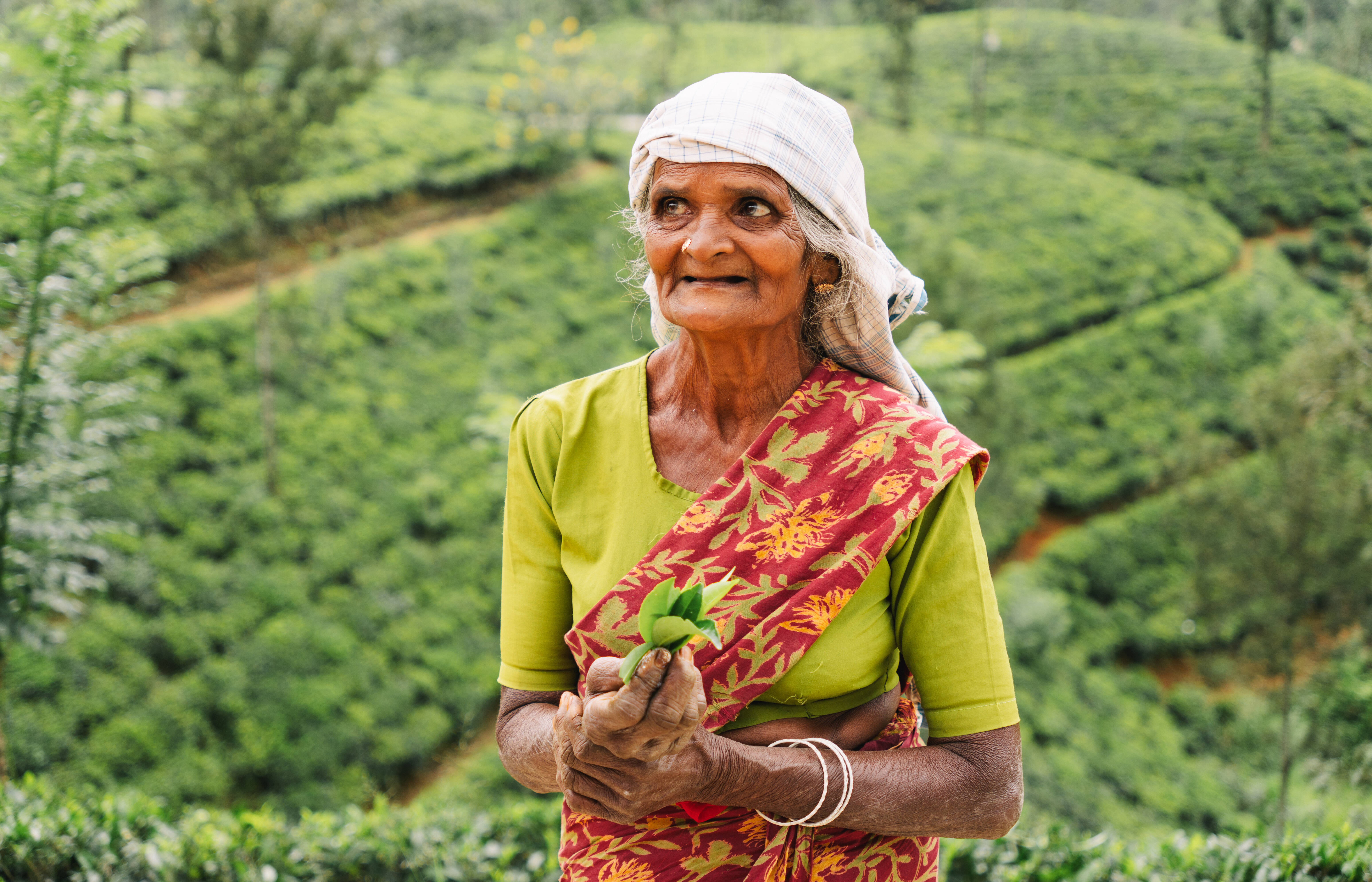 Nuwara Eliya